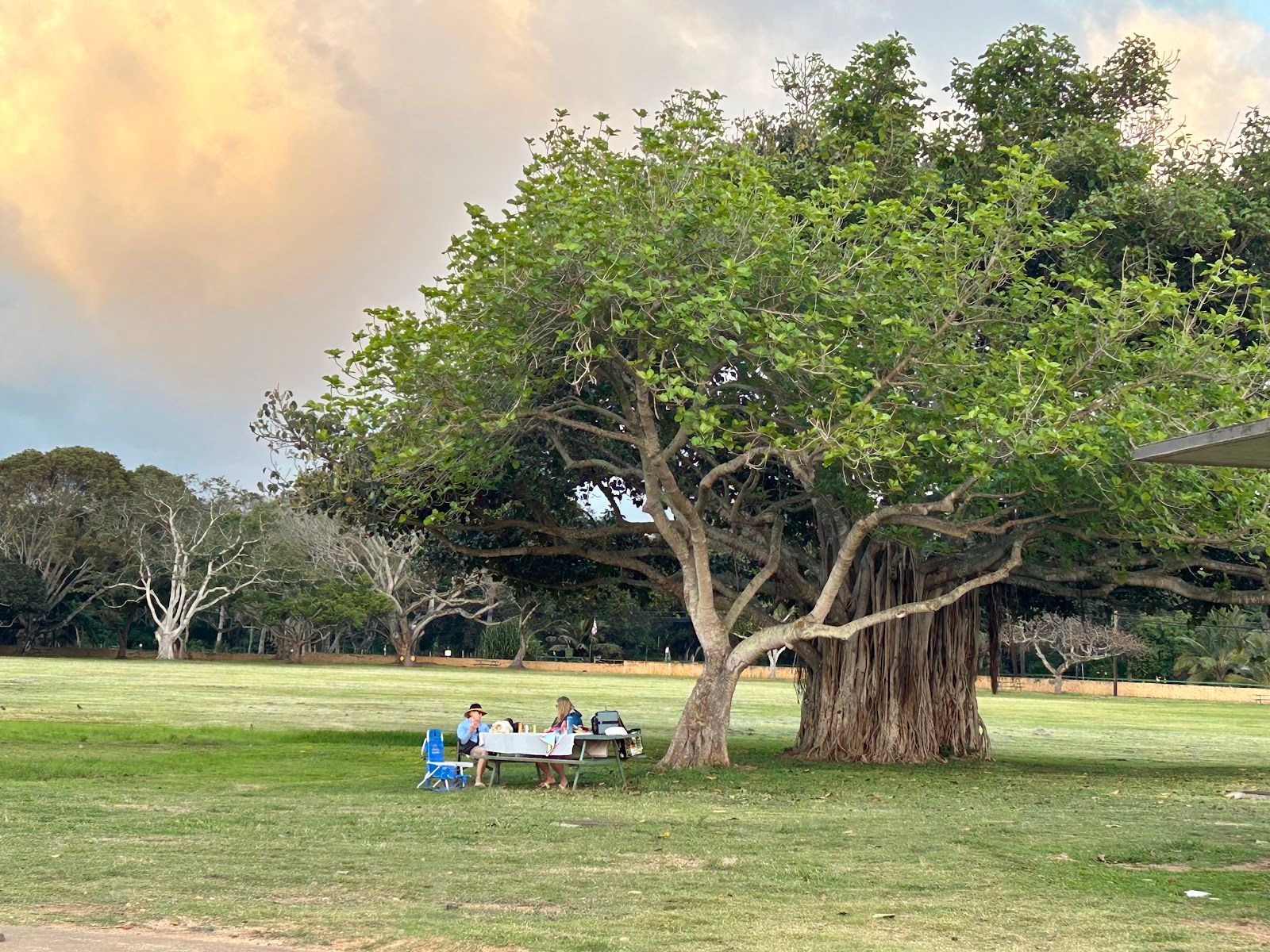 Photo 8 of Haleʻiwa Beach Park in Haleʻiwa, Oahu