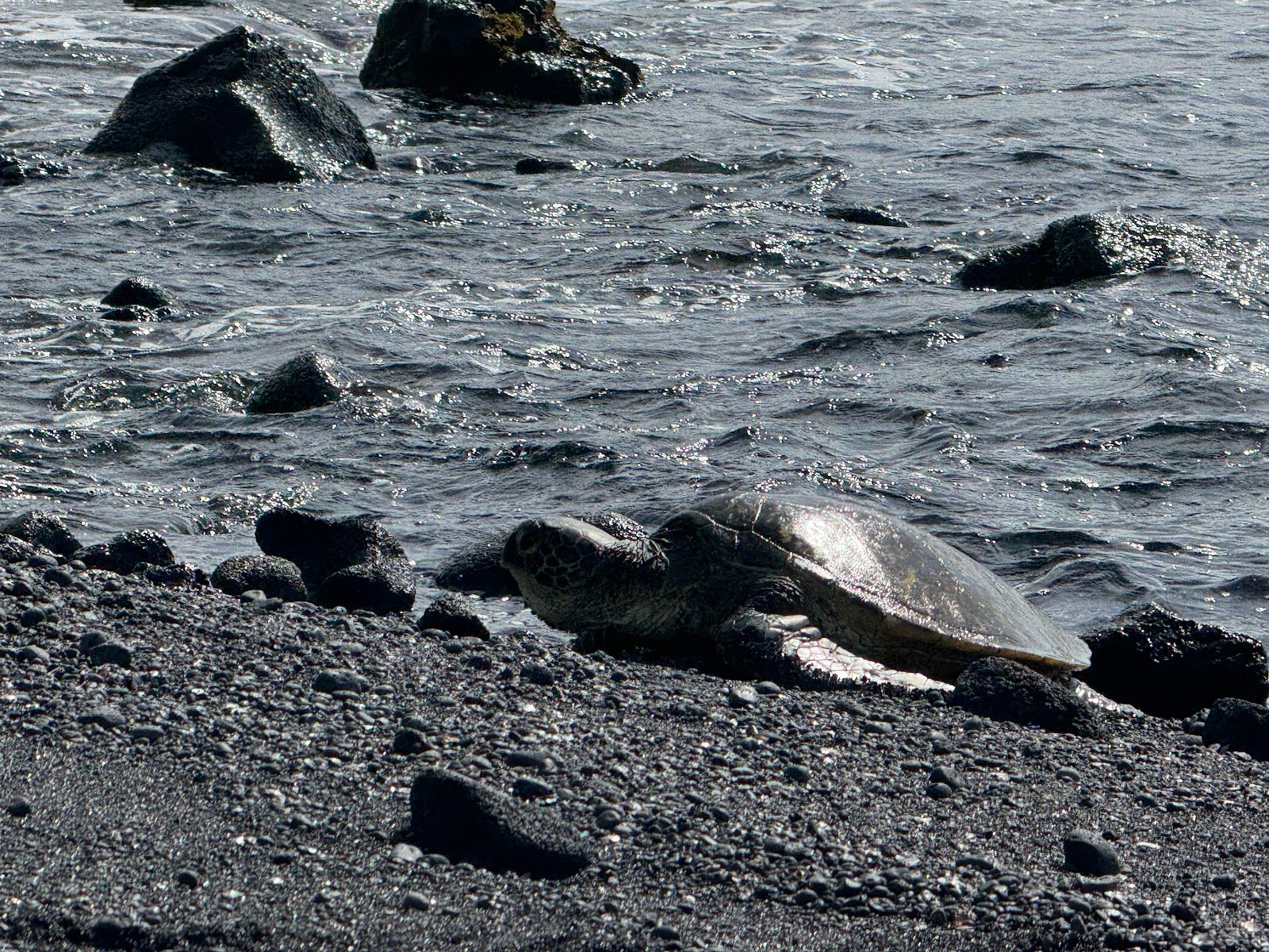 Photo 4 of Polynesian Adventure Tours in Hilo, Big Island