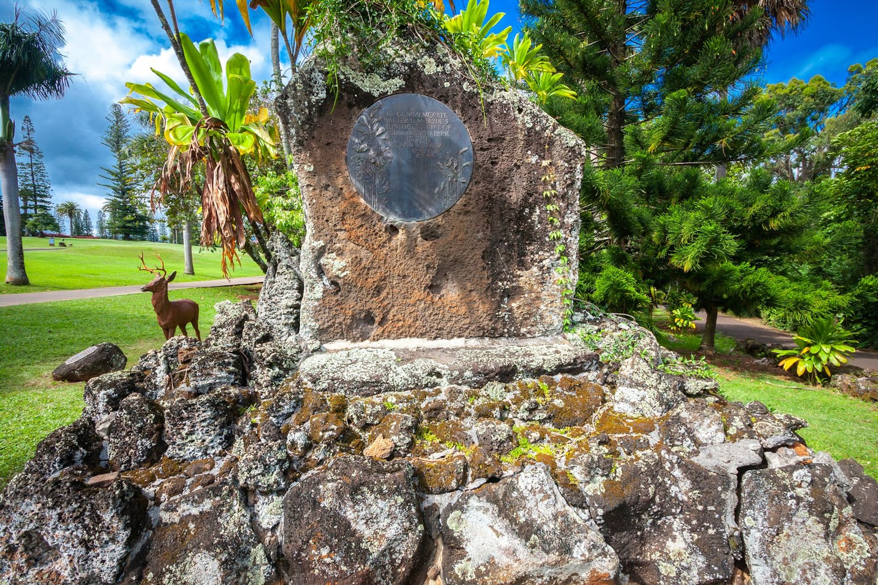 Kukuiolono Park & Golf Course in Kalaheo, Kaua‘i photo 5