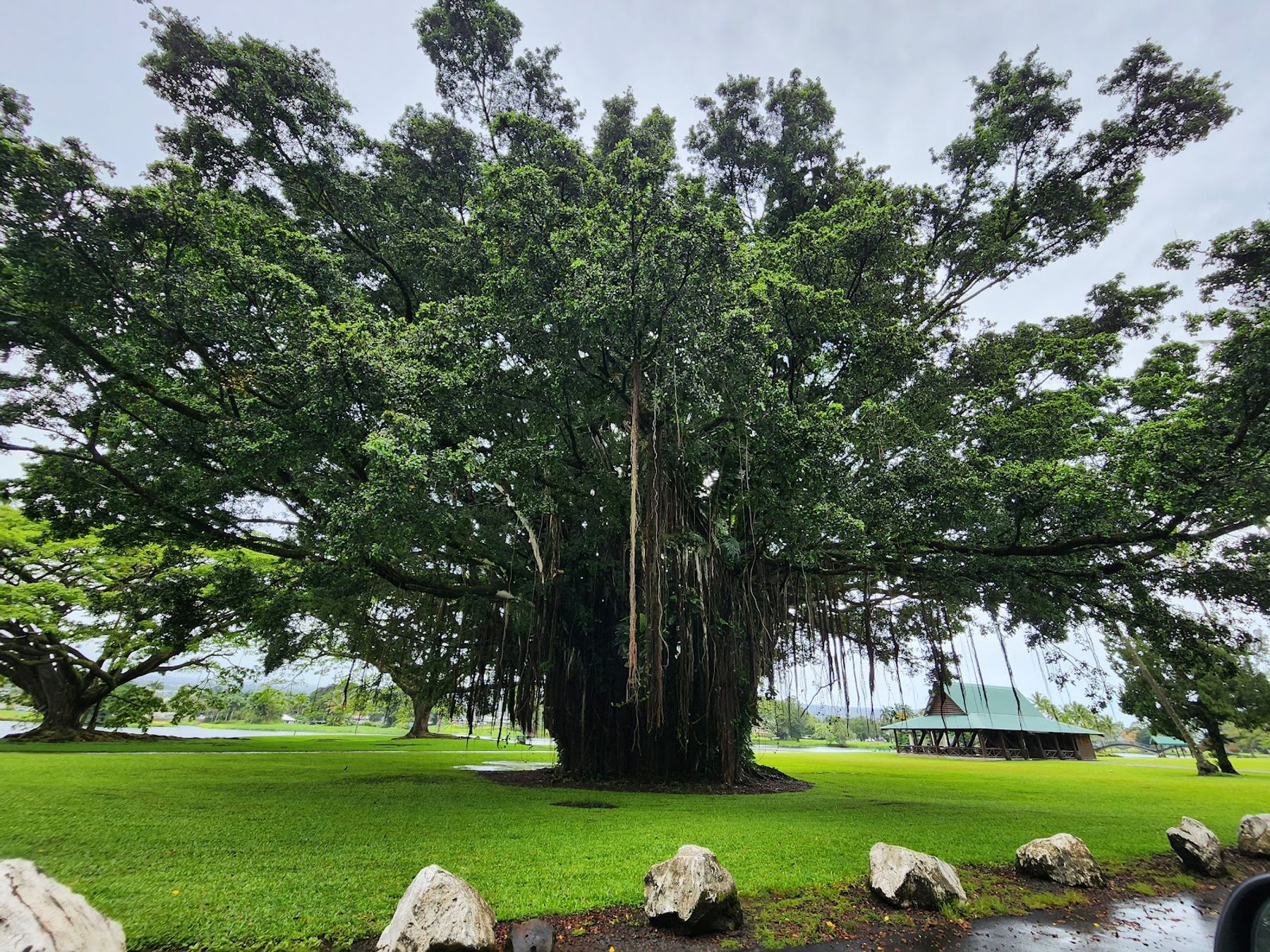 Photo 7 of Wailoa River State Recreation Area in Hilo, Big Island