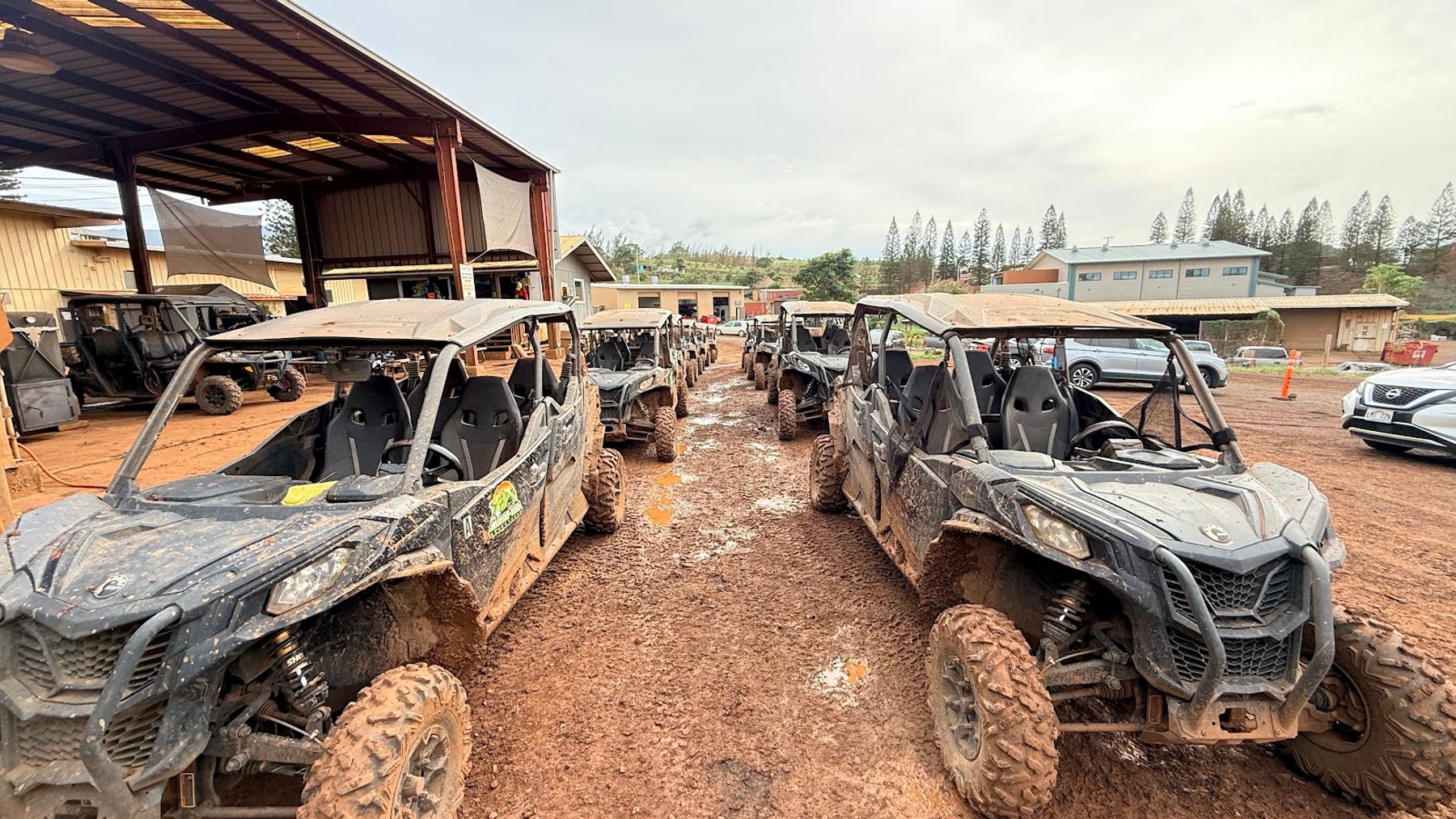 Photo 1 of Maui Off-Road Adventures in Kapalua, Maui