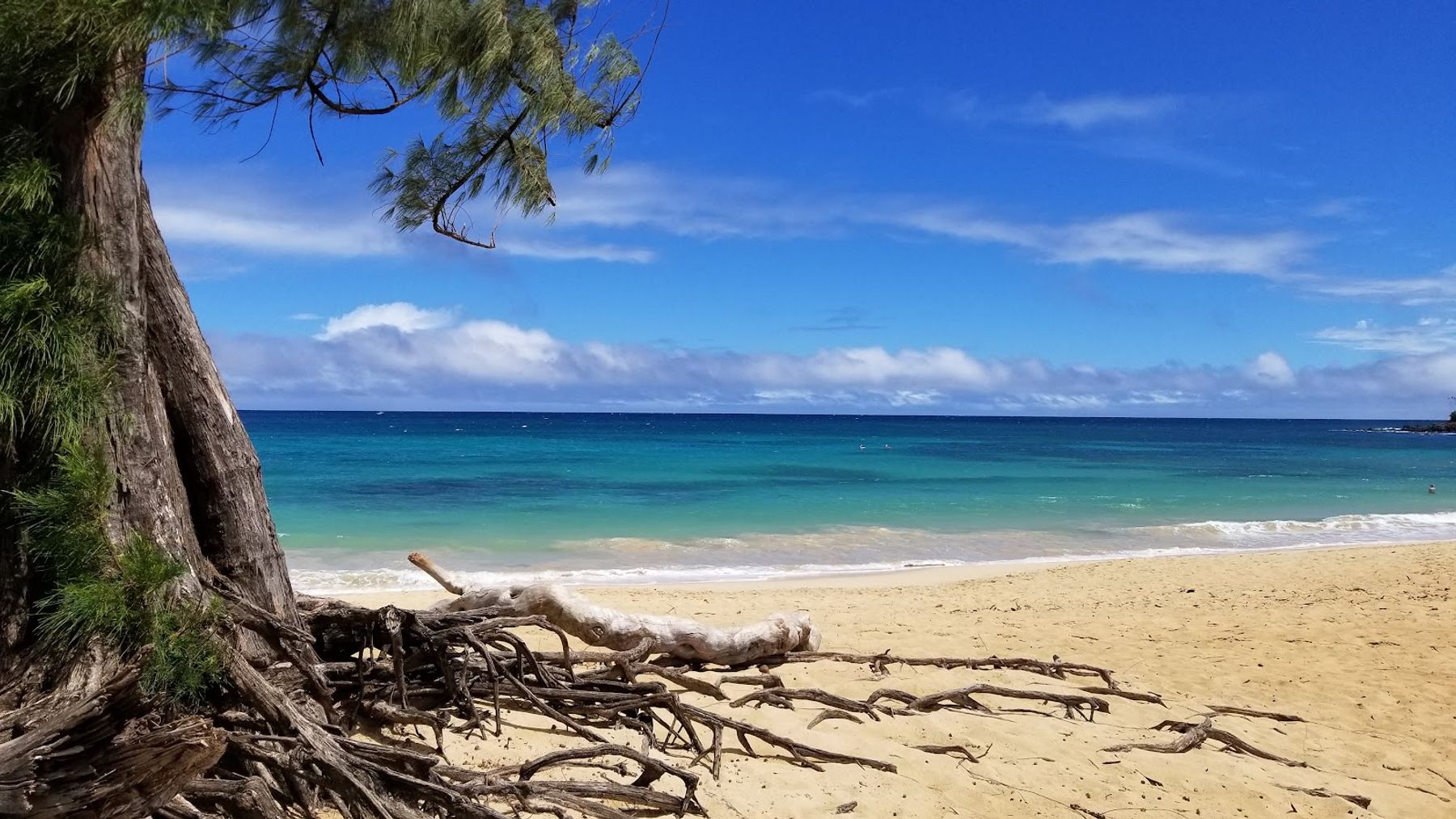Photo 8 of Lower Pāʻia Park in Pāʻia, Maui