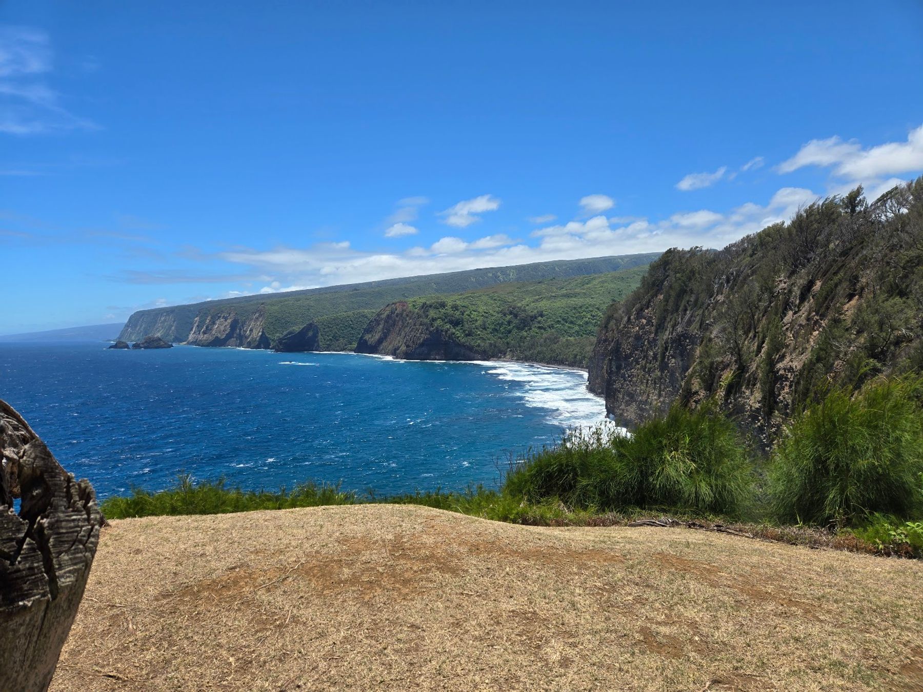 Photo 5 of Kohala Zipline in North Kohala, Big Island