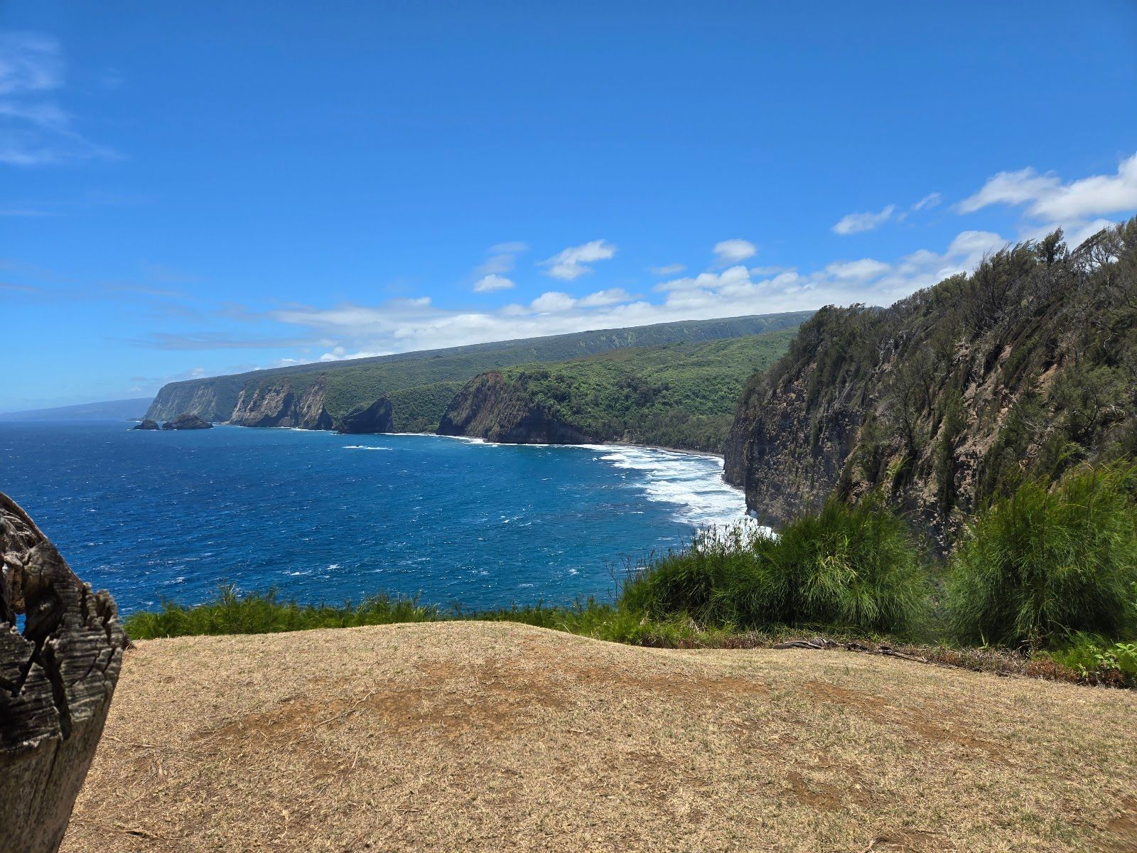 Photo 5 of Kohala Zipline in North Kohala, Big Island