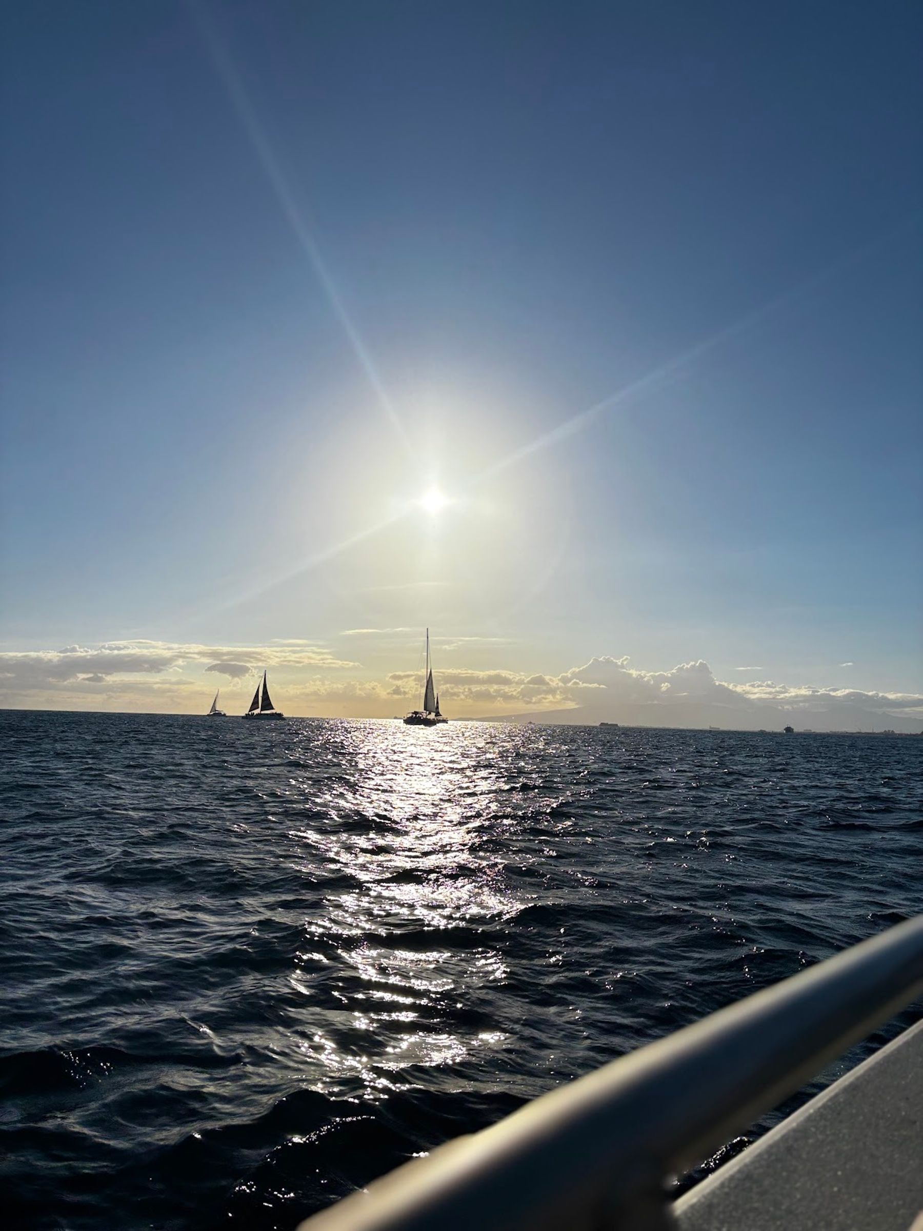 Photo 3 of Living Ocean Tours in Ala Moana & Mōʻiliʻili, Oahu
