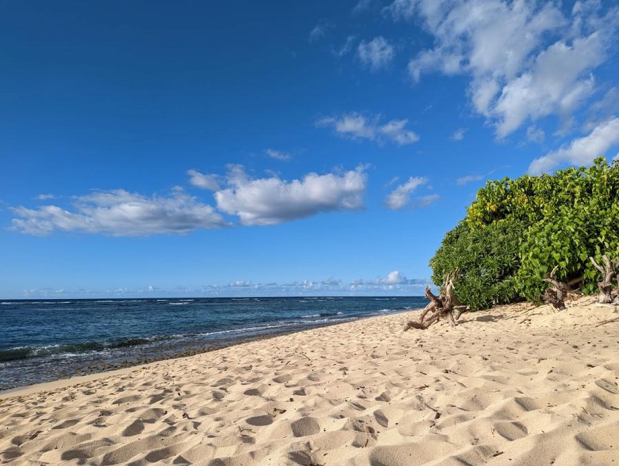 Photo 1 of Mokulēʻia Beach Park in Waialua & Mokulēʻia, Oahu