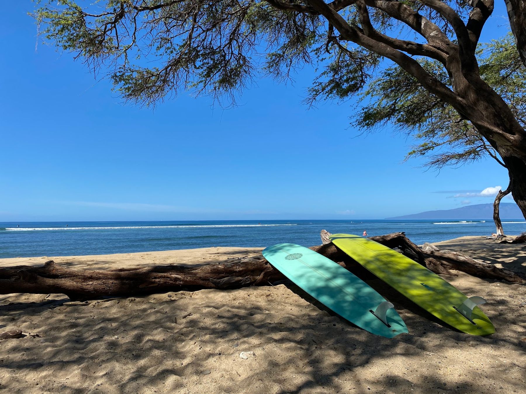 Photo 6 of Swell Maui Surf Lessons in Kīhei, Maui