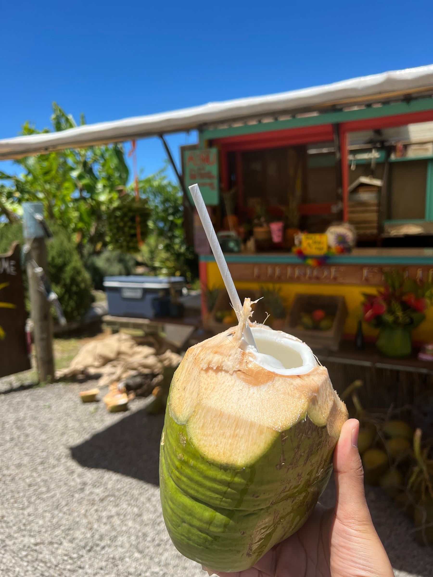 Photo 7 of Lilinoe Fruit Stand in Honokaʻa, Big Island