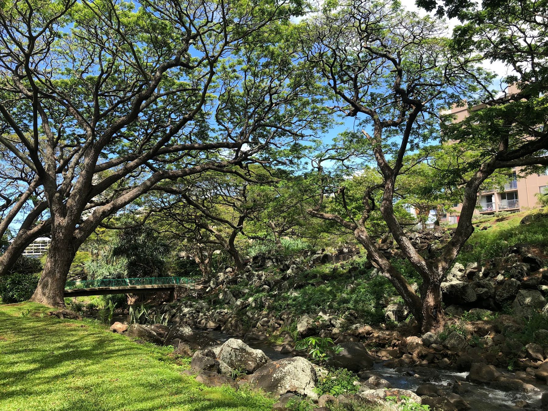 Photo 5 of Liliʻuokalani Botanical Garden in Mānoa, Makiki & Nuʻuanu, Oahu