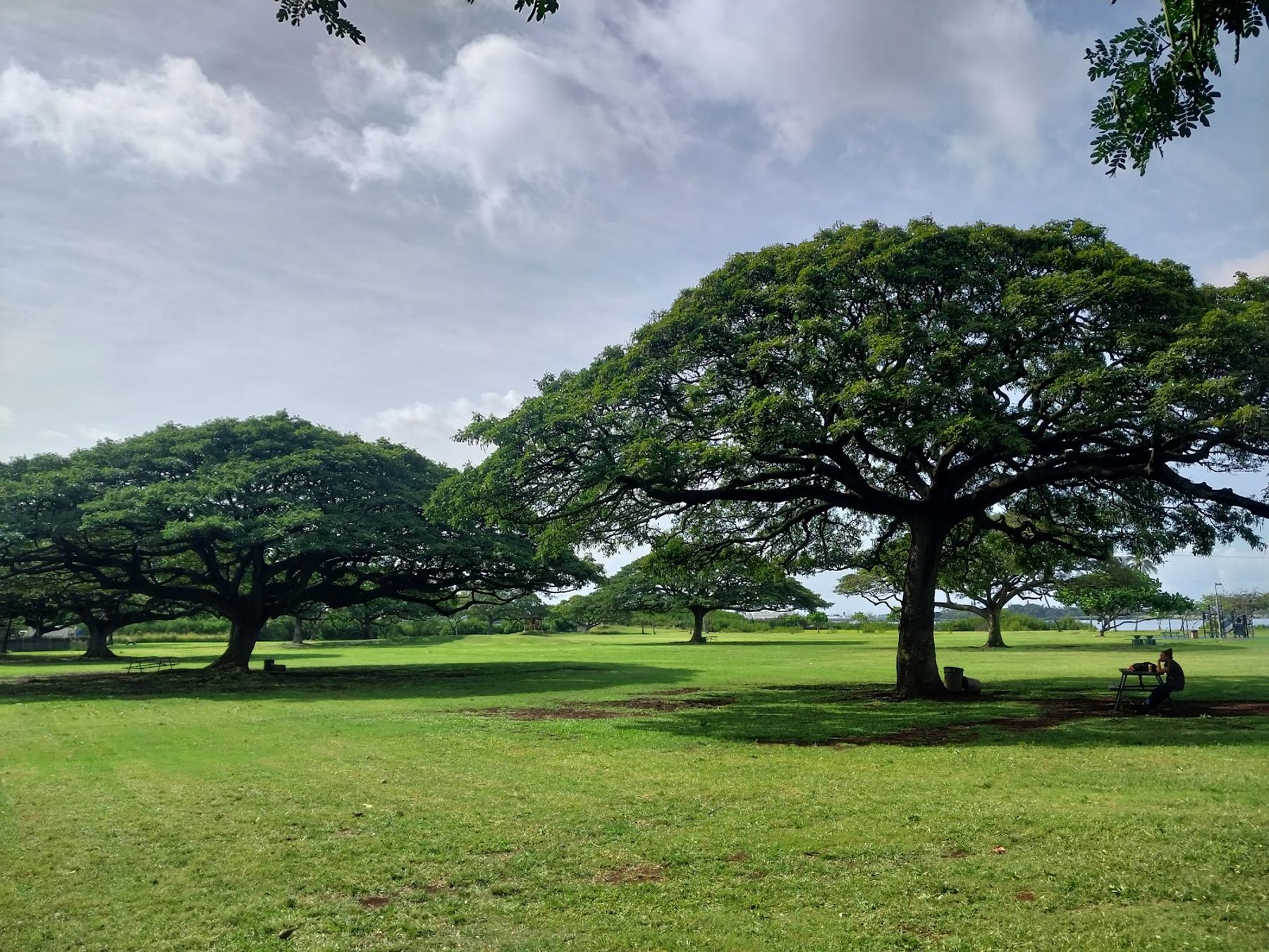 Photo 1 of Neal S. Blaisdell Park in Pearl City, Oahu