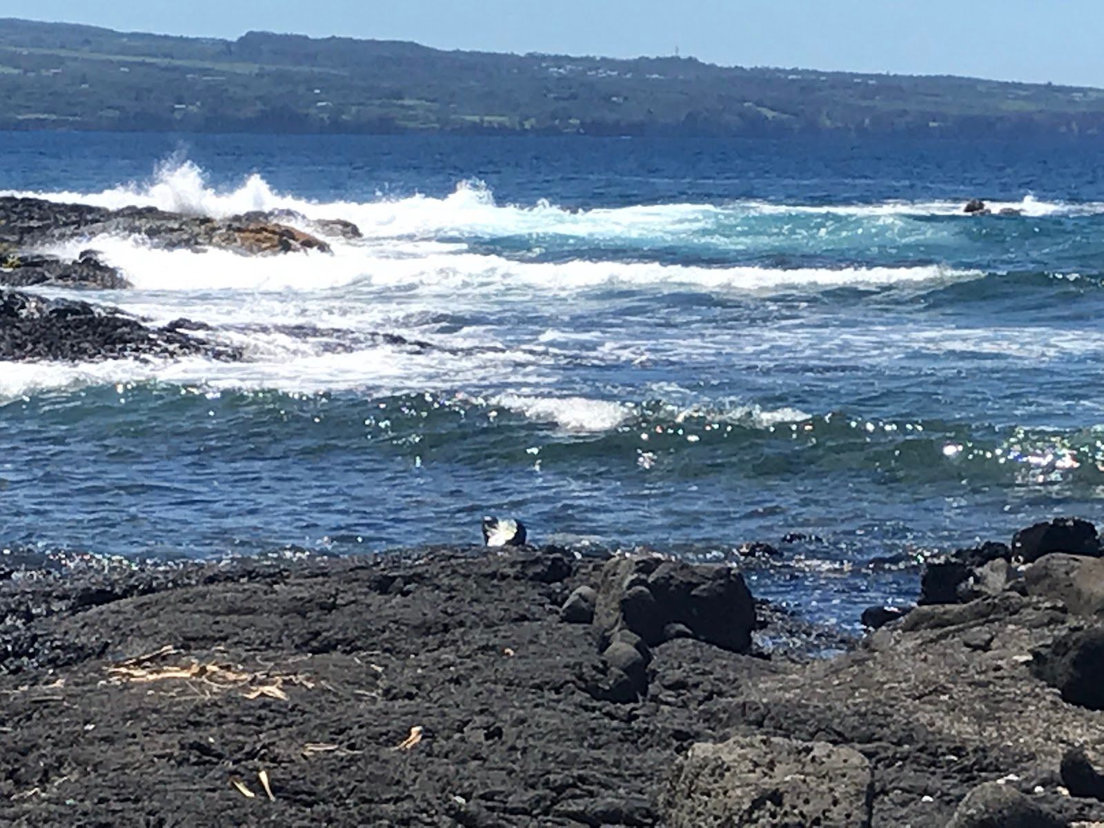 Photo 9 of Onekahakaha Beach Park in Hilo, Big Island