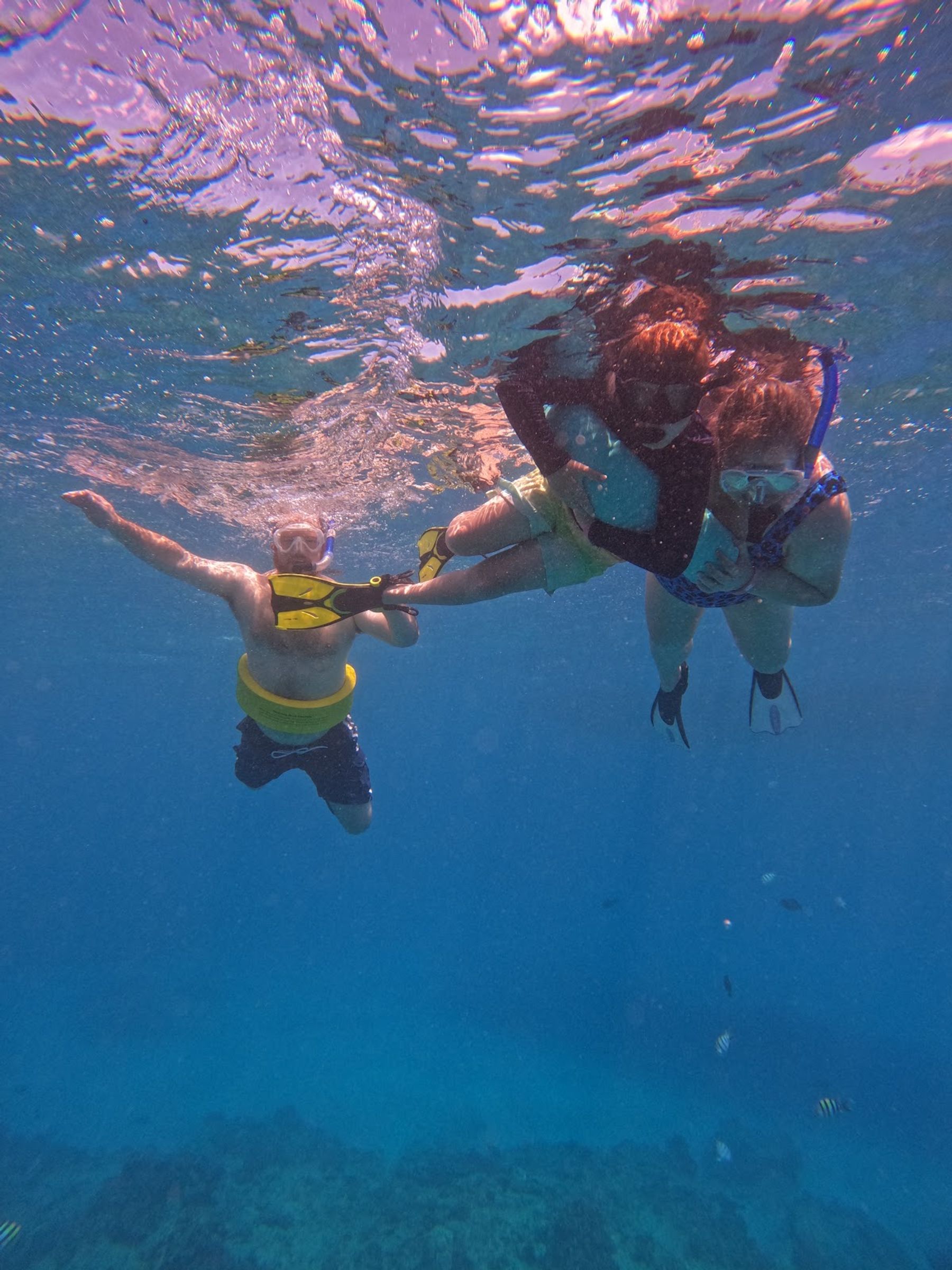 Photo 4 of Captain Max Boat Tours in Ala Moana & Mōʻiliʻili, Oahu