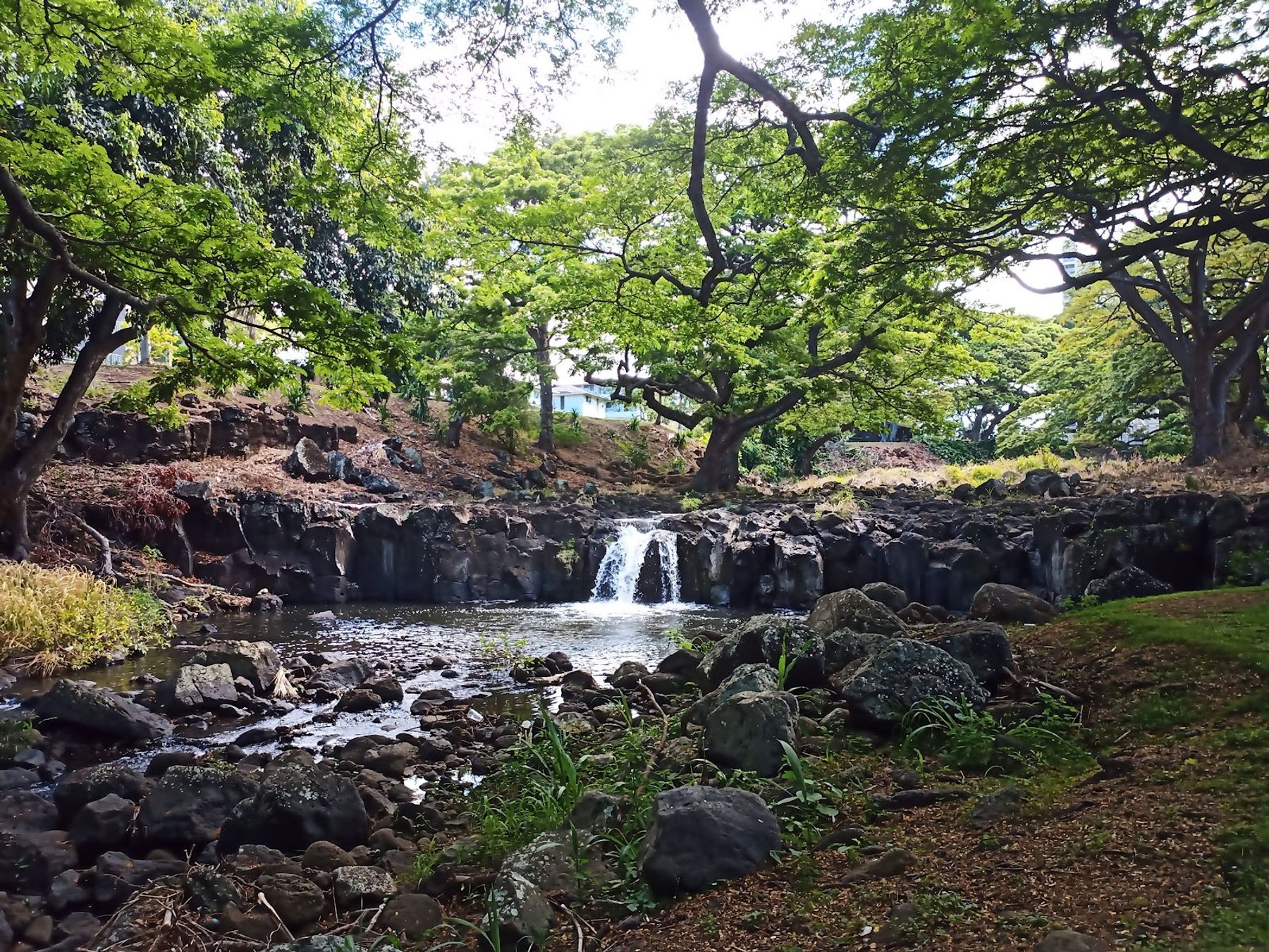 Photo 3 of Liliʻuokalani Botanical Garden in Mānoa, Makiki & Nuʻuanu, Oahu