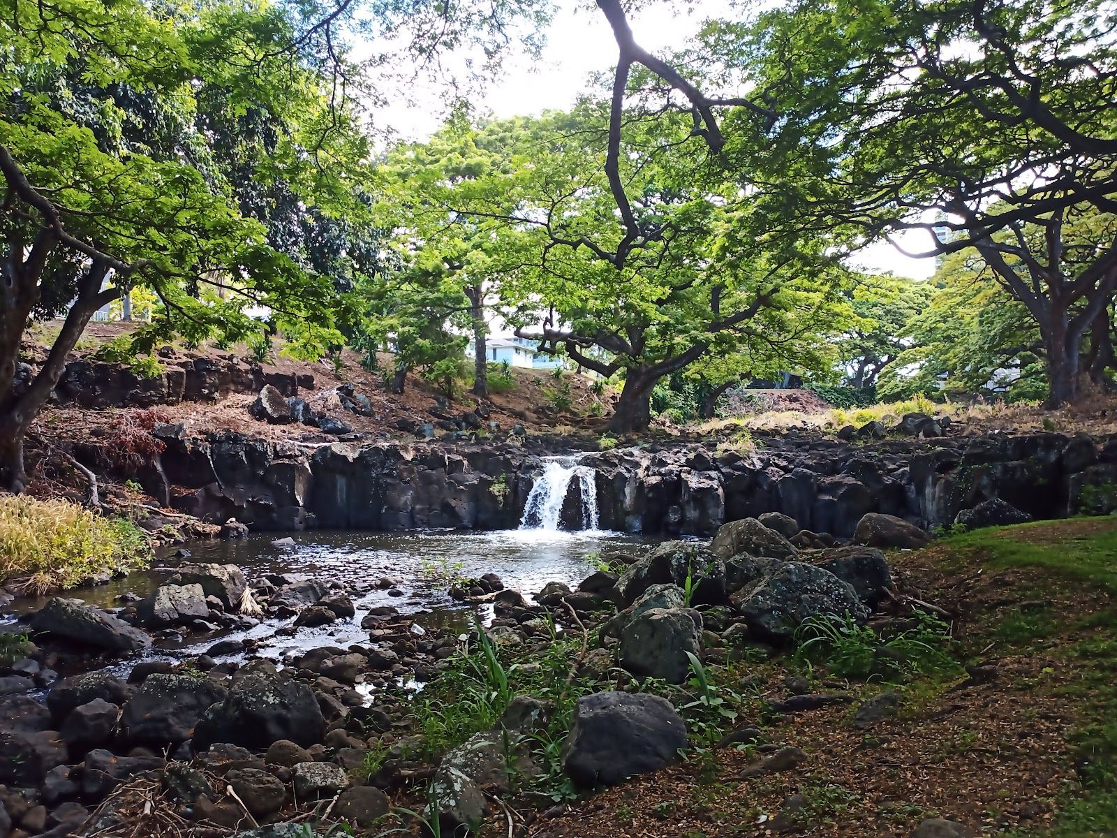 Photo 3 of Liliʻuokalani Botanical Garden in Mānoa, Makiki & Nuʻuanu, Oahu