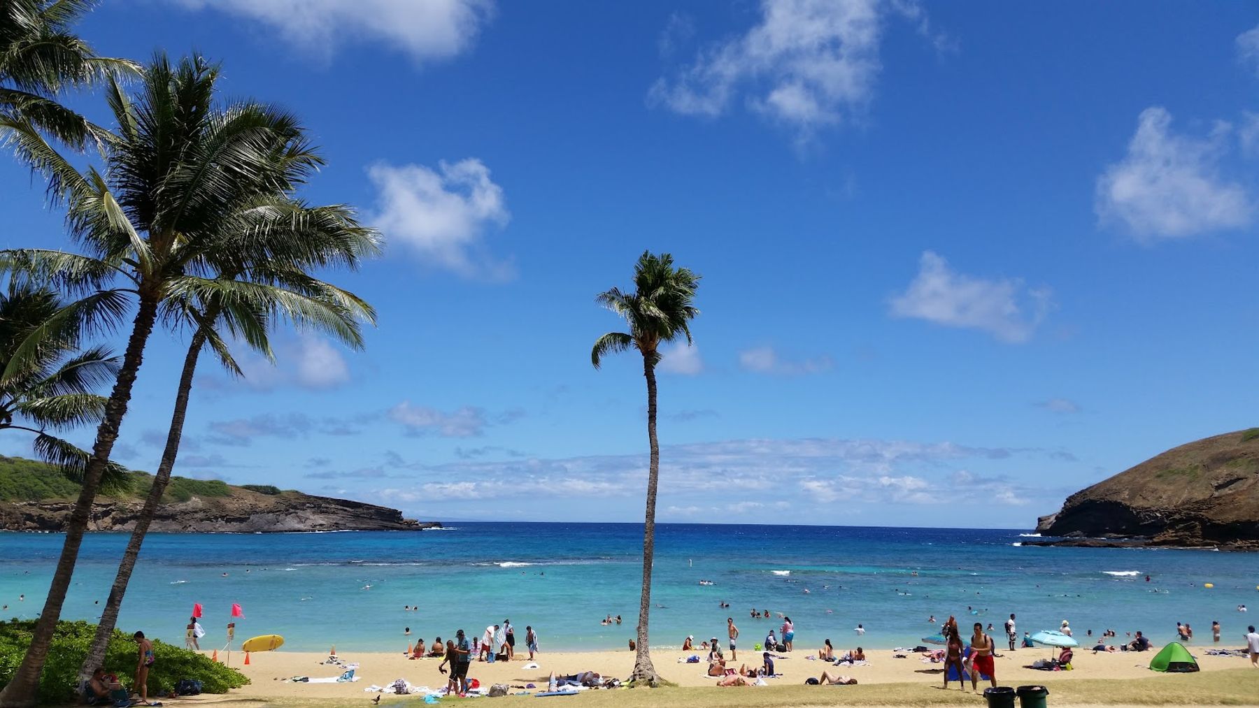 Photo 10 of Hanauma Bay Nature Preserve in Hawaiʻi Kai & East Honolulu, Oahu