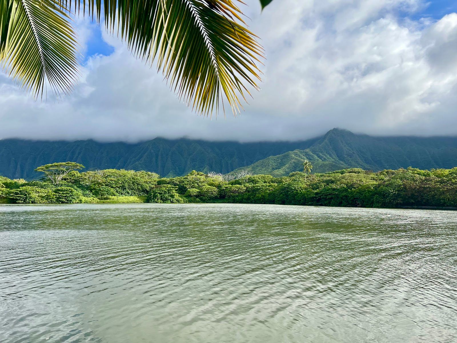 Photo 5 of Poor Man’s LLC in Kāneʻohe, Oahu