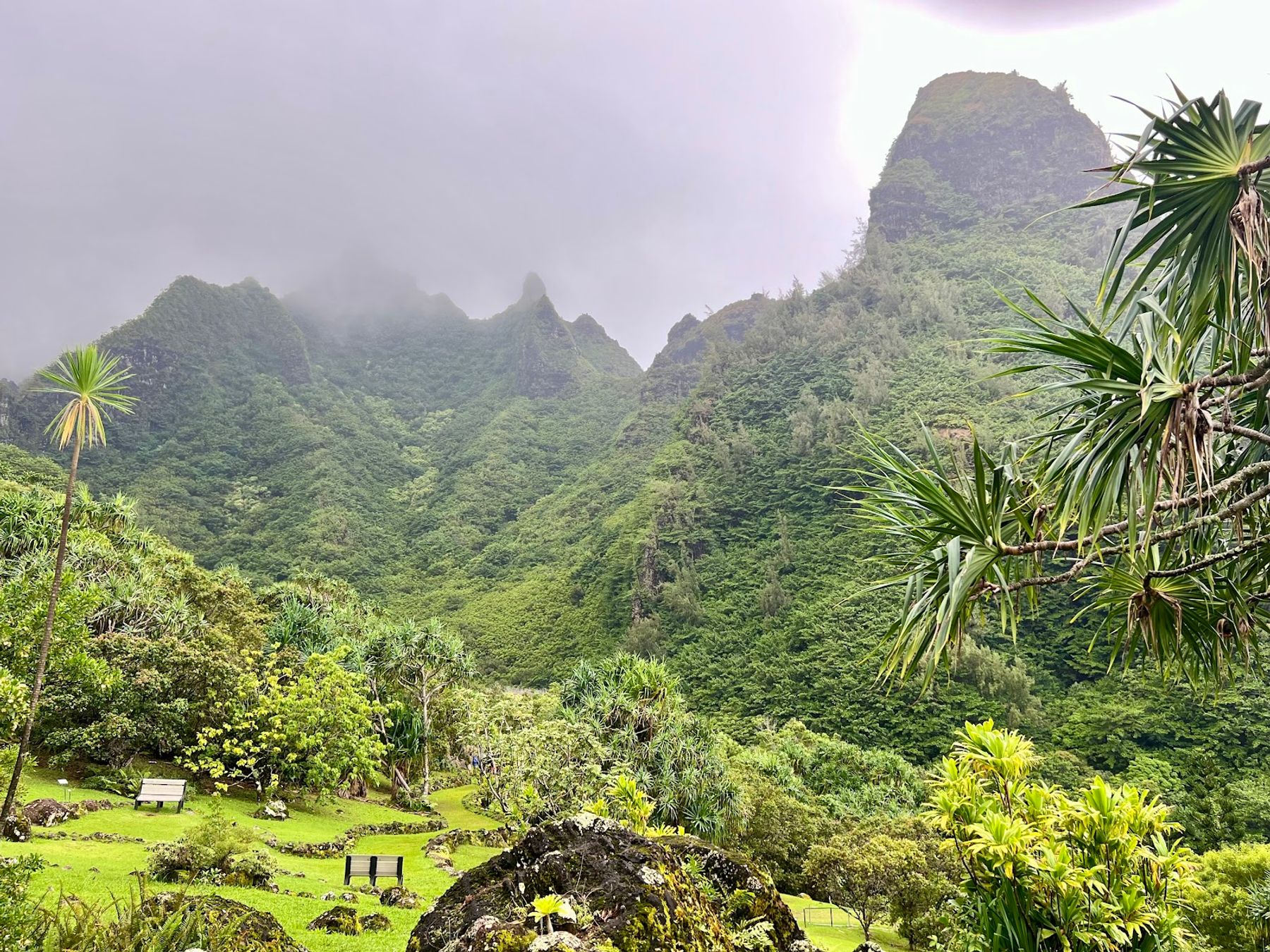 Limahuli Garden & Preserve, National Tropical Botanical Garden in Hanalei, Kaua‘i photo 5
