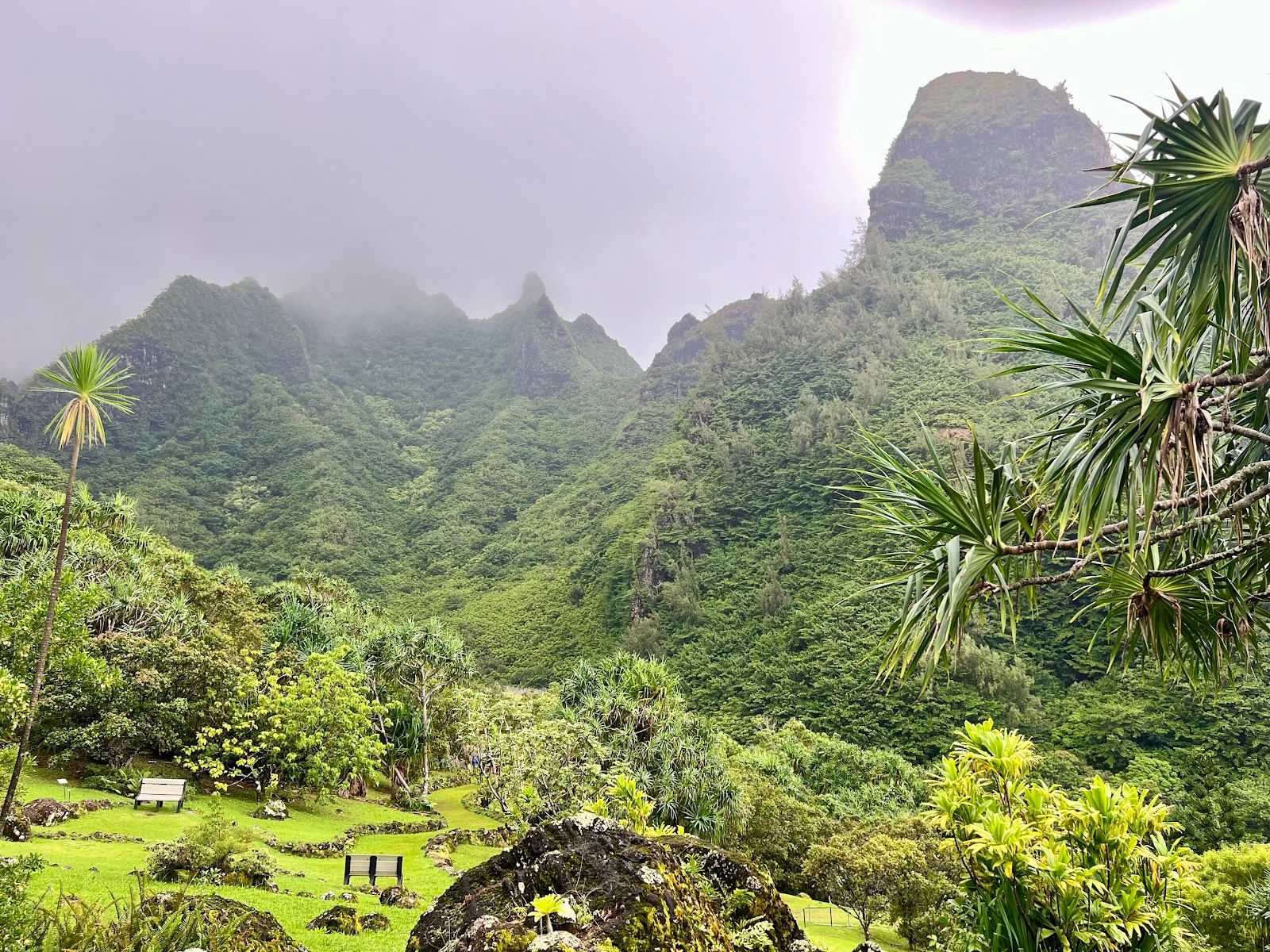 Limahuli Garden & Preserve, National Tropical Botanical Garden in Hanalei, Kaua‘i photo 5
