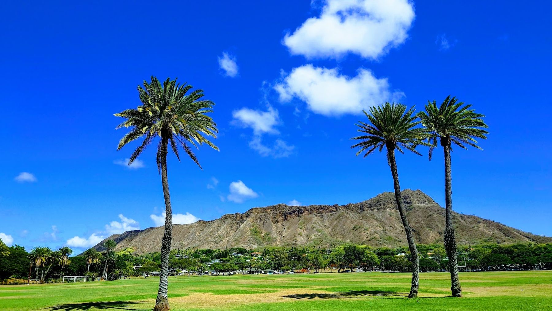 Photo 1 of Kapiʻolani Regional Park in Diamond Head & Kapahulu, Oahu