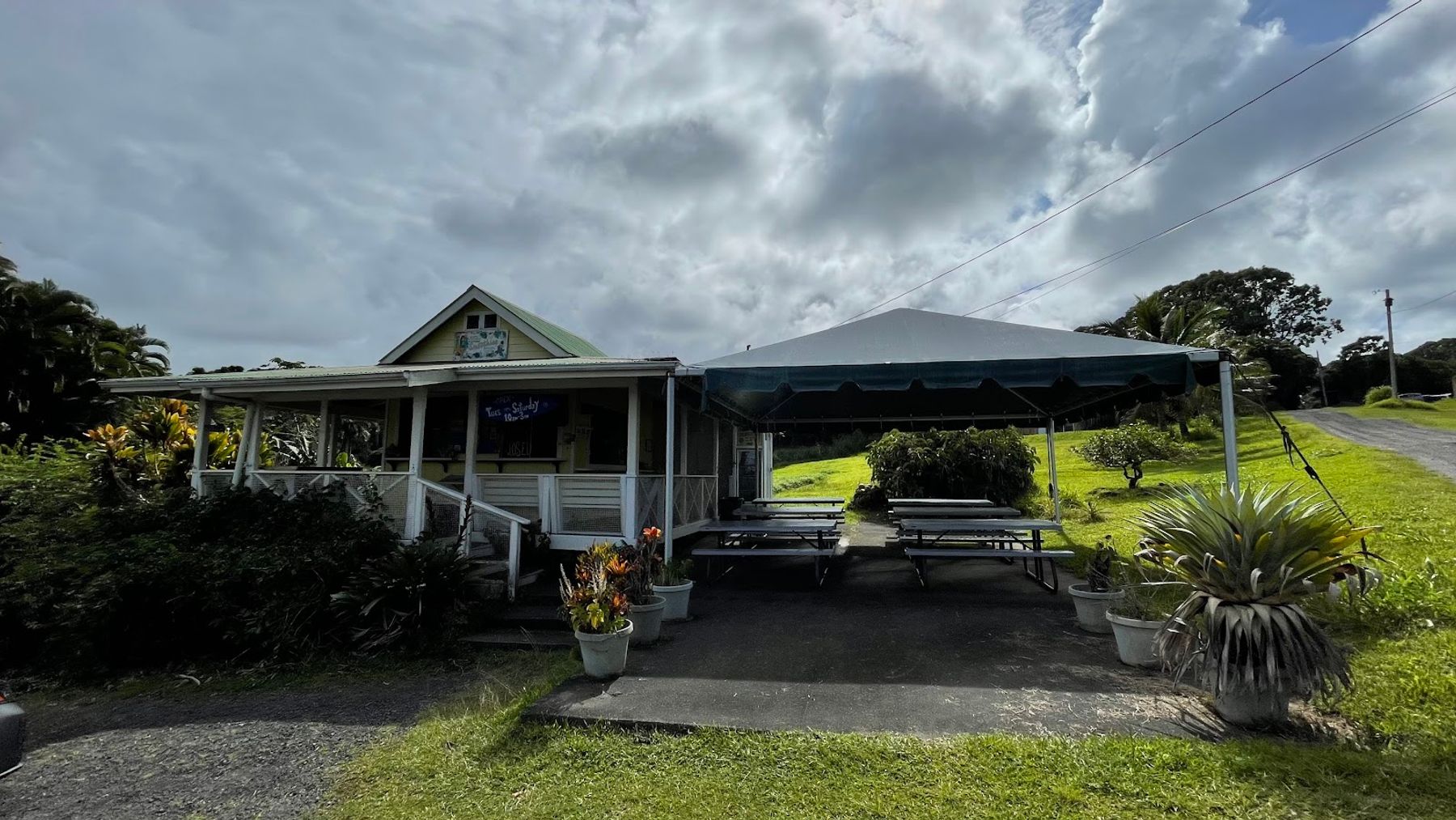 Photo 9 of What's Shakin' in Greater Hilo, Big Island