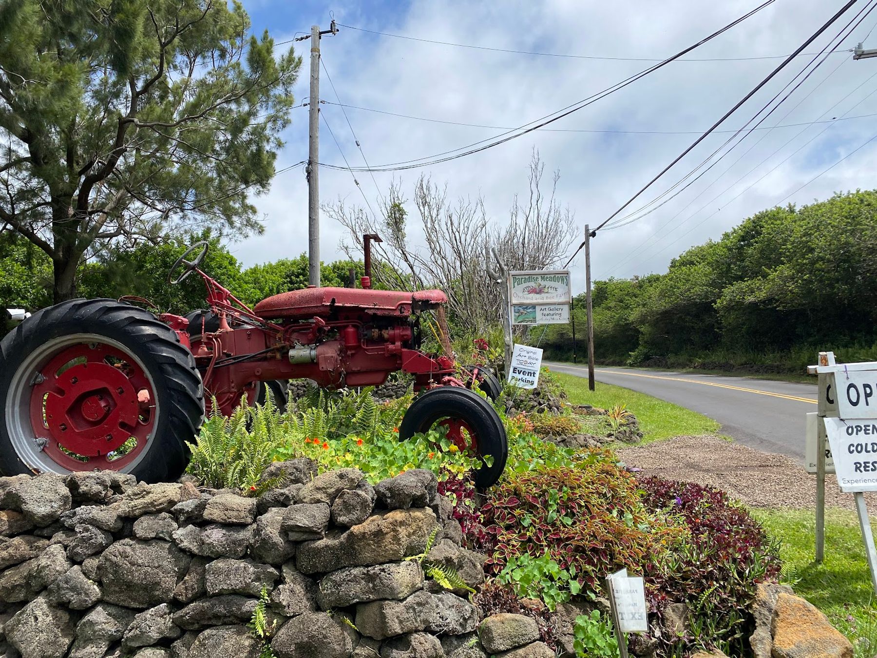 Photo 8 of Paradise Meadows Orchard and Bee Farm, Home of Hawaii's Local Buzz in South Point, Big Island