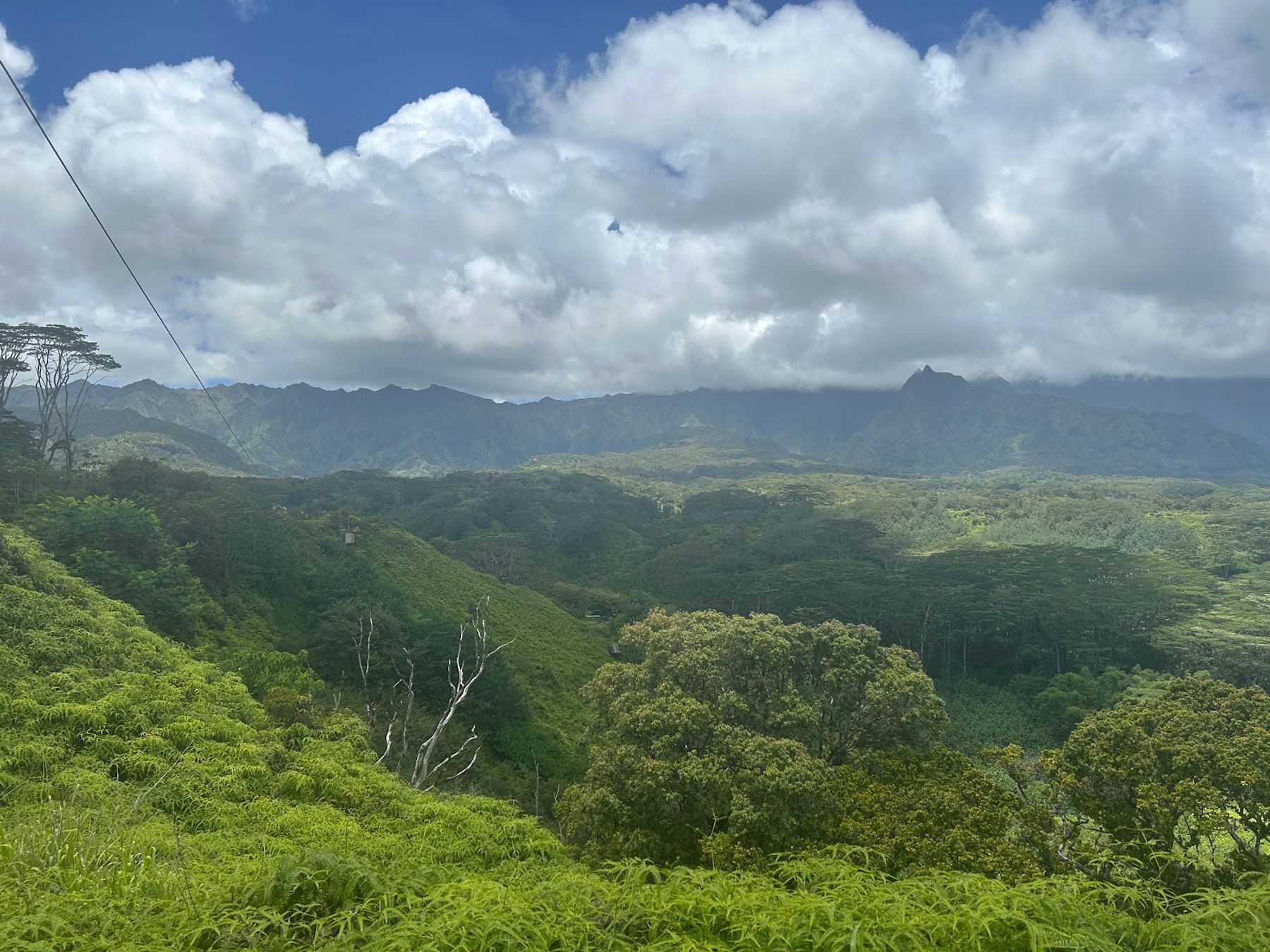 Kauai Backcountry Adventures in Lihue, Kaua‘i photo 5