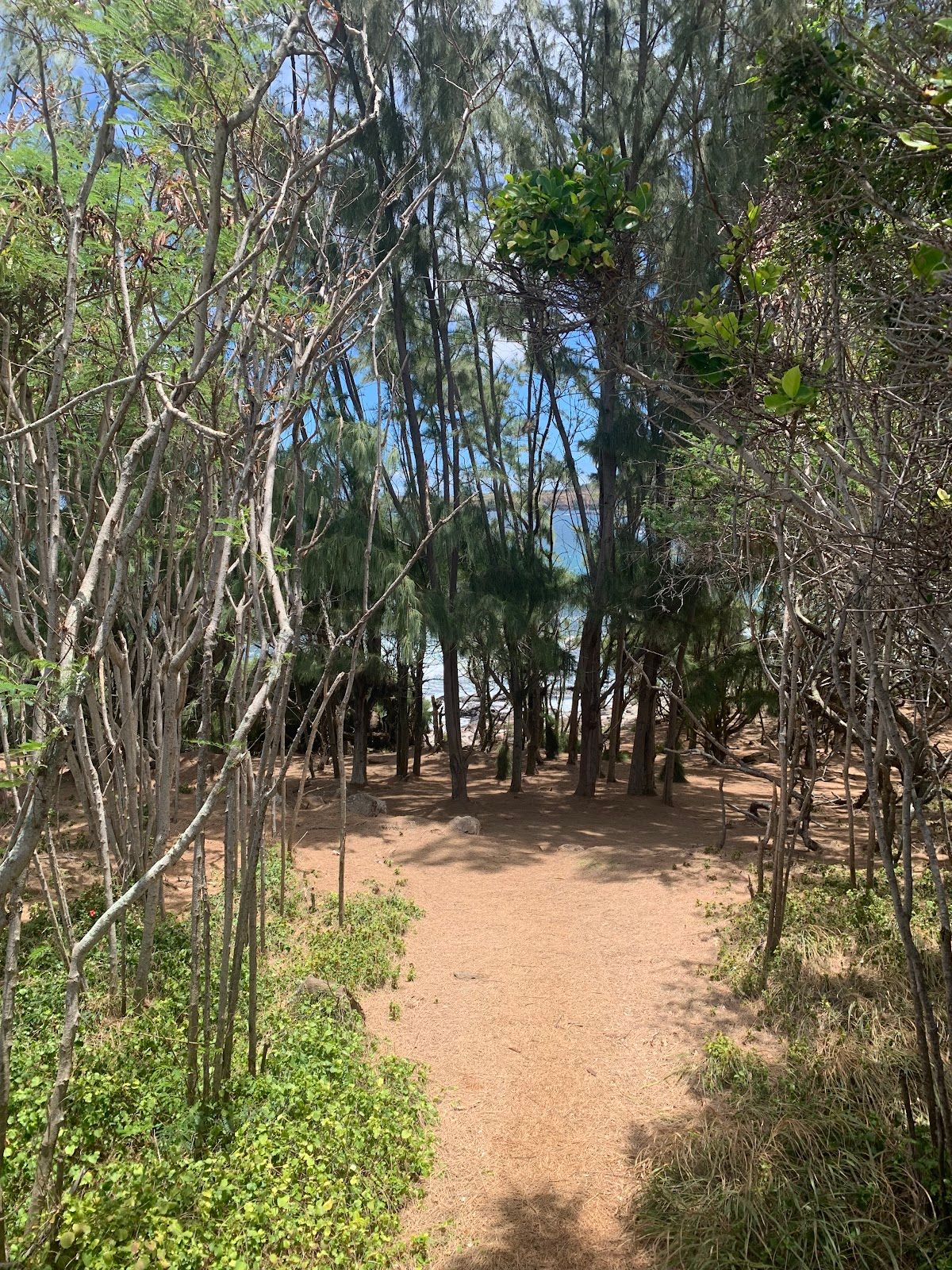 Photo 8 of Dragon's Teeth Access Trail, Kapalua in Kapalua, Maui