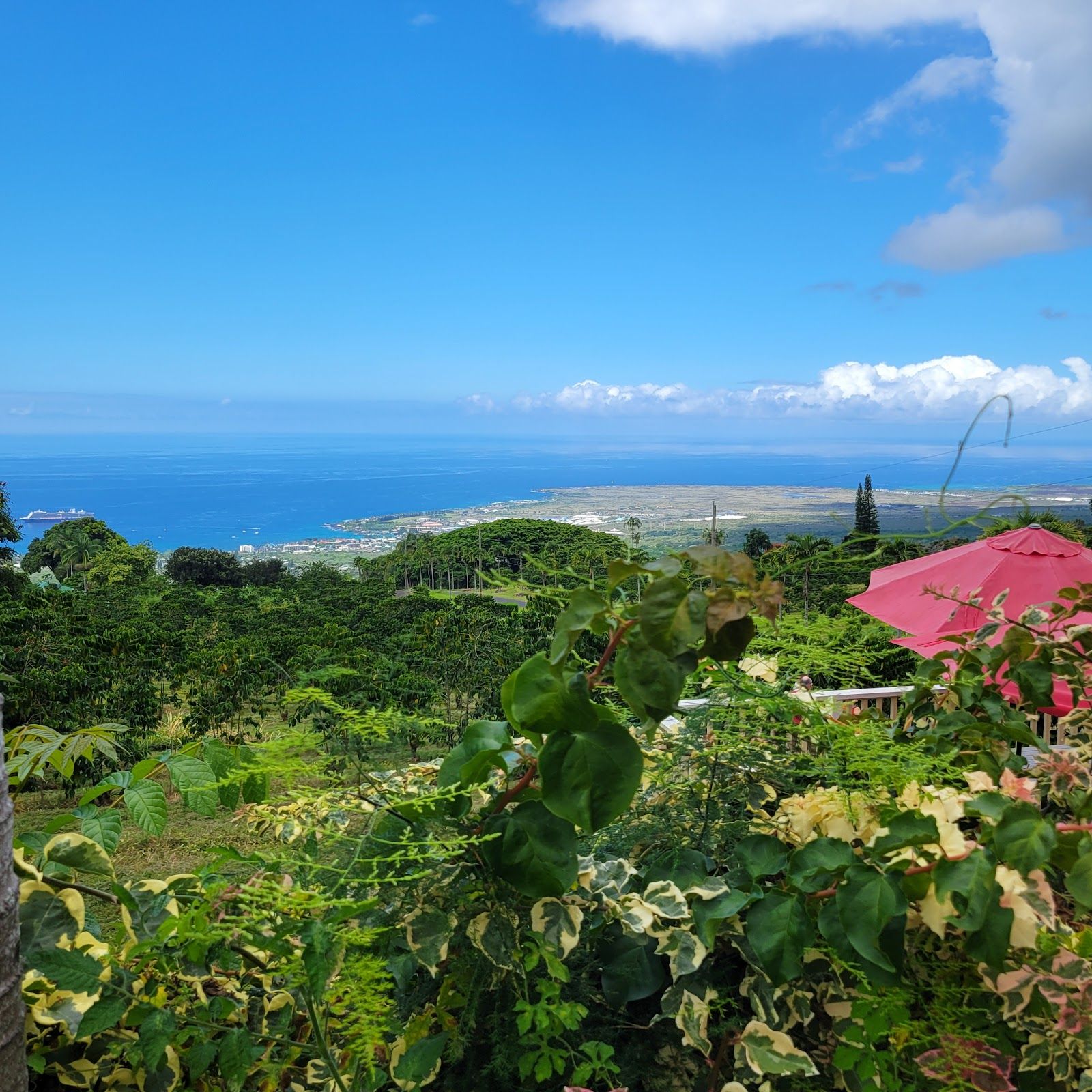 Photo 4 of UCC Hawaii in Hōlualoa, Big Island