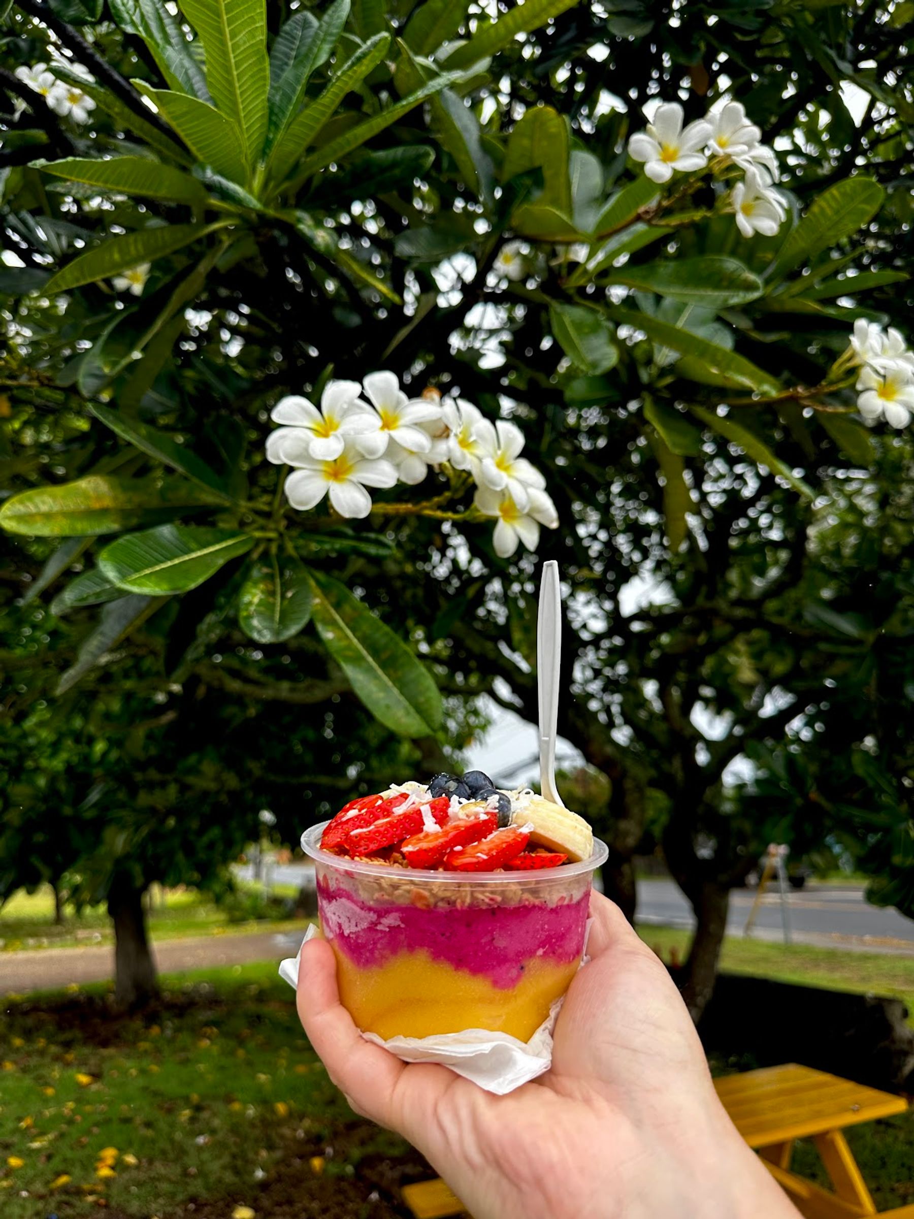 Photo 7 of Aloha Always - Kapaa in Wailua, Kauai