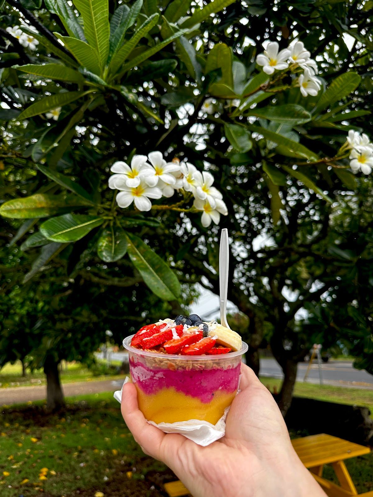 Photo 7 of Aloha Always - Kapaa in Wailua, Kauai