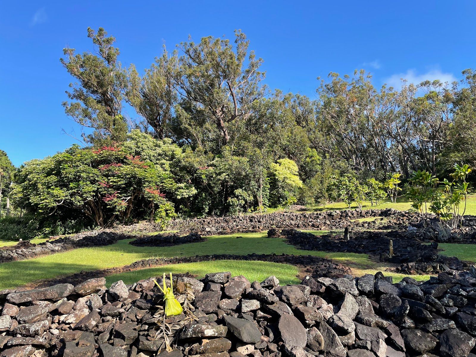 Photo 1 of Keaīwa Heiau State Recreation Area in Pearl Harbor & ʻAiea, Oahu