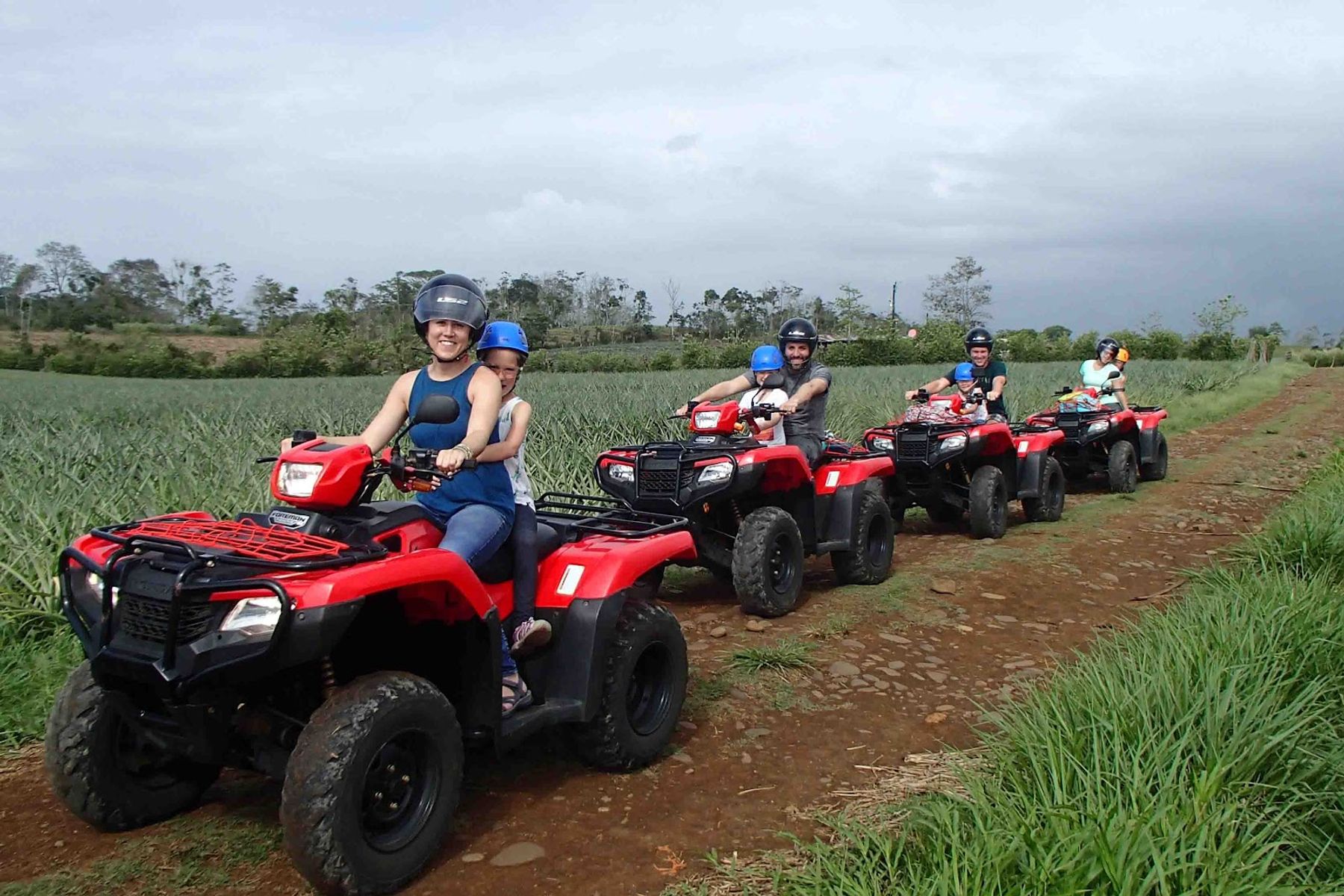 Photo 4 of Big Island Hilo Tours in Hilo, Big Island