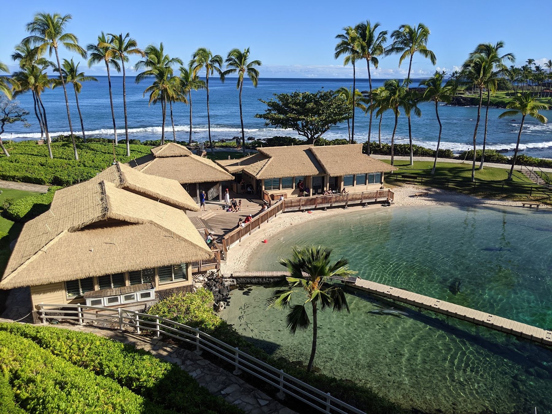 Photo 7 of Dolphin Quest Hawaii in Waikoloa, Big Island