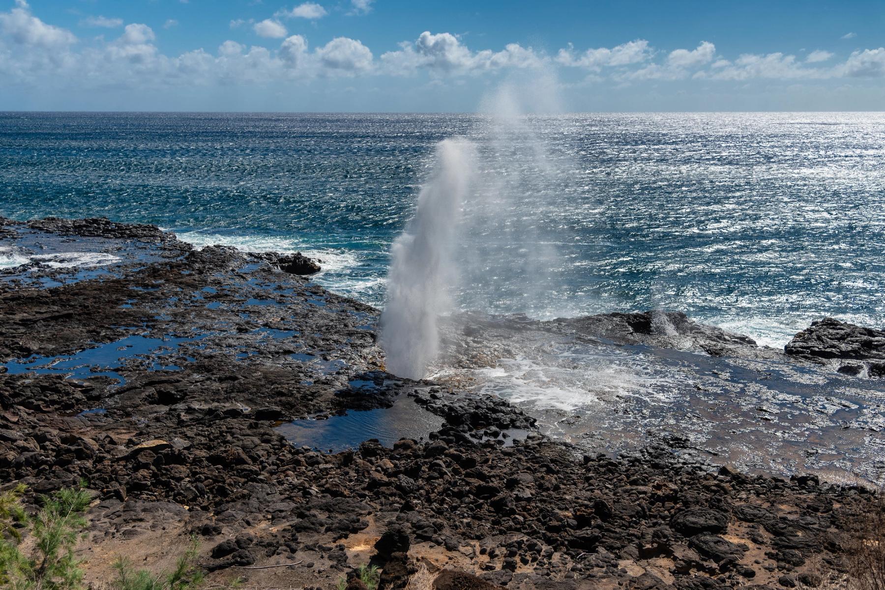 Ocean blowhole plume rising from a black lava rock shelf with tide pools and bright blue sea under scattered clouds
