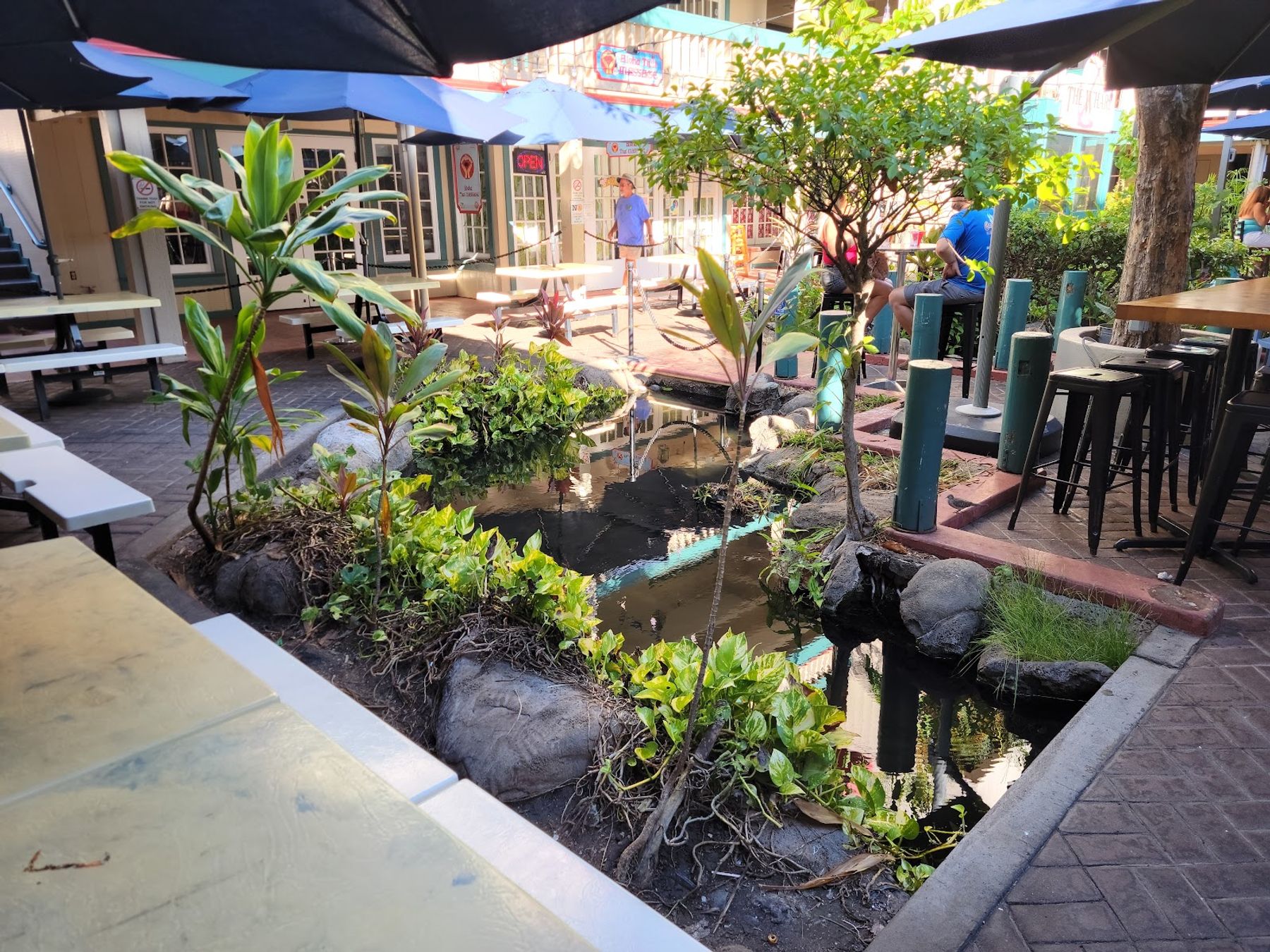 Photo 1 of Maui Island Coffee in Lāhainā, Maui