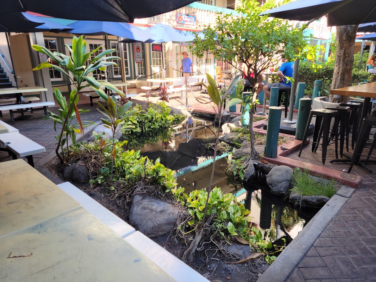 Photo 1 of Maui Island Coffee in Lāhainā, Maui
