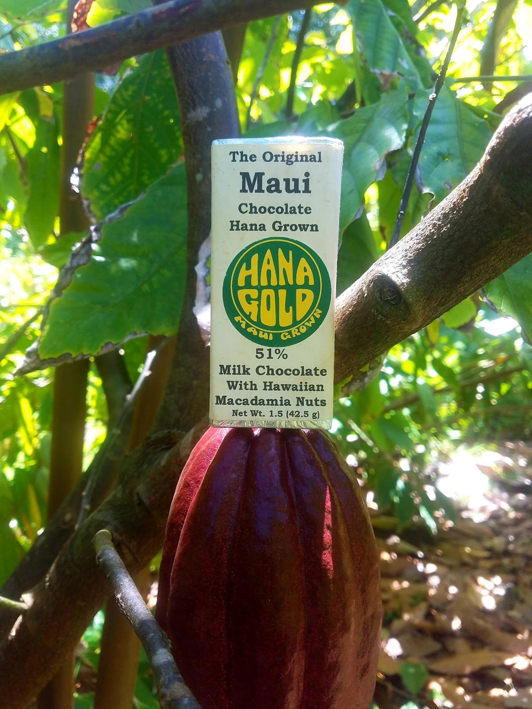 Photo 1 of Hana Gold Cacao Plantation in Hāna, Maui