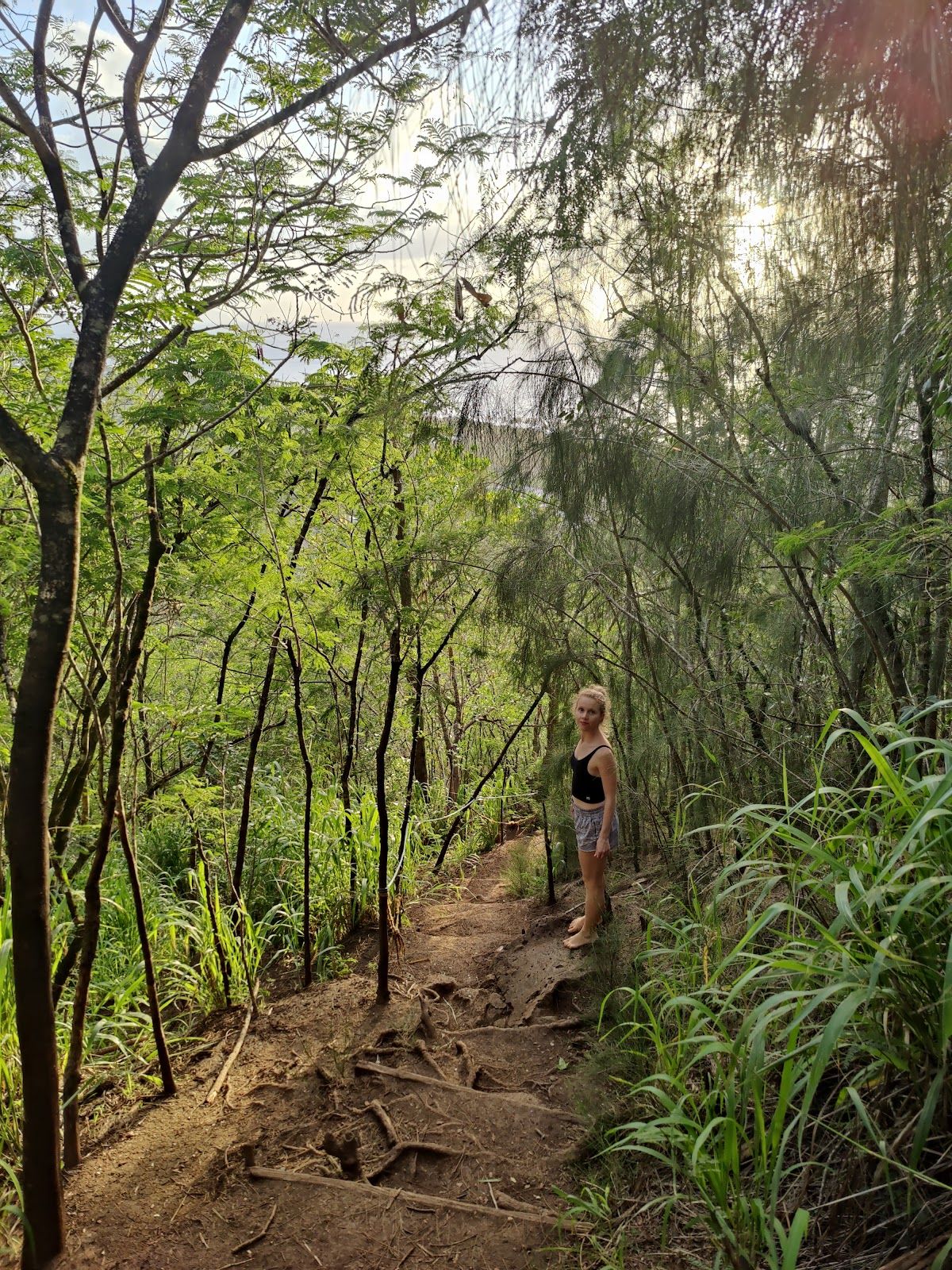 Photo 6 of ʻEhukai Pillbox Trail in Pūpūkea, Oahu