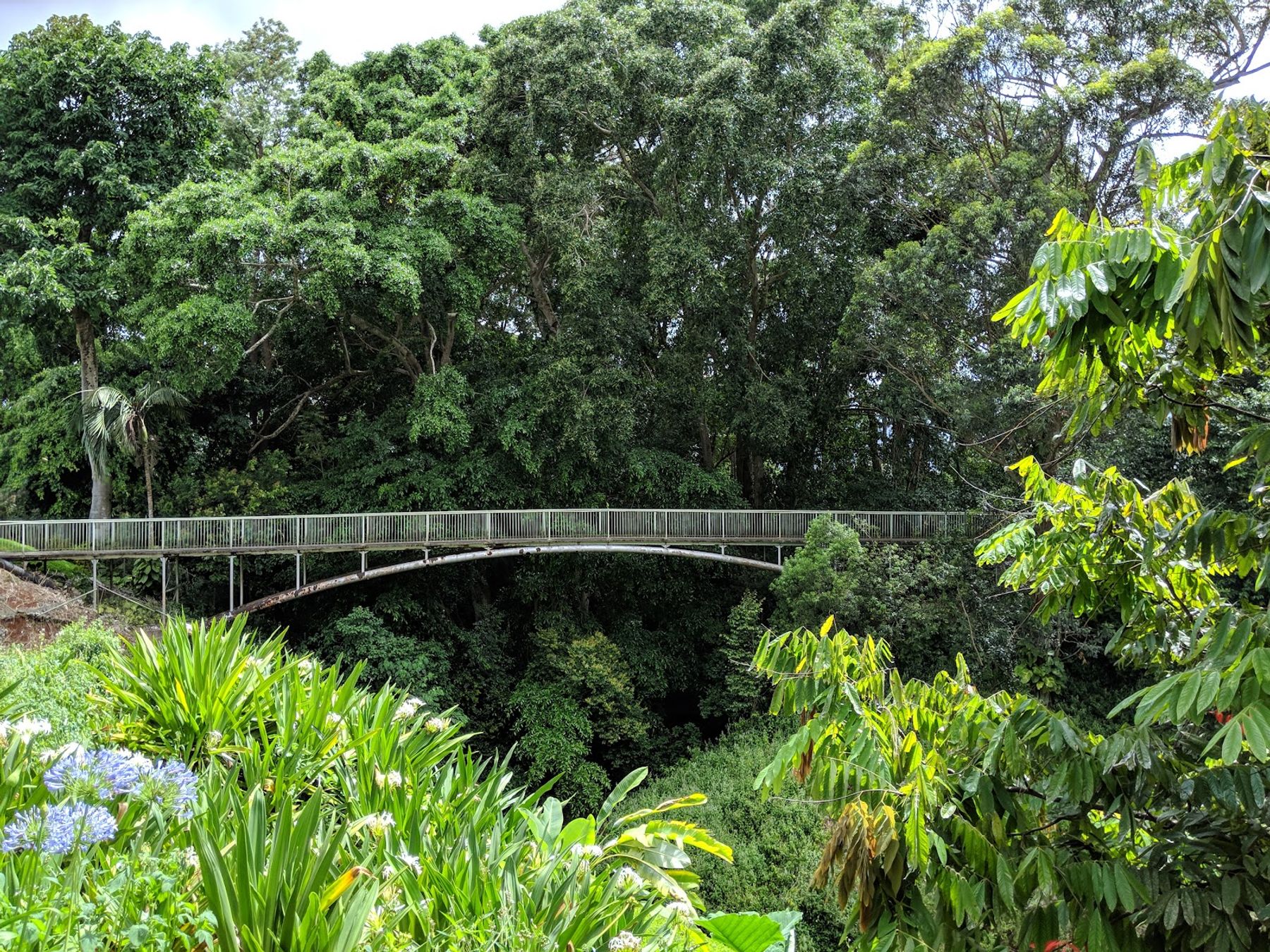 Photo 1 of Wahiawā Botanical Garden in Wahiawā, Oahu