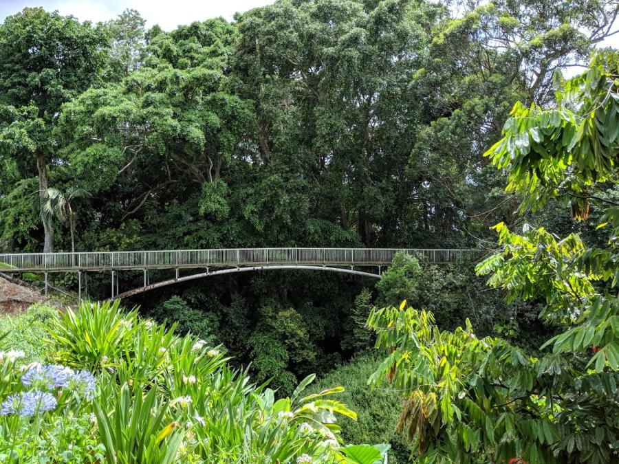 Photo 1 of Wahiawā Botanical Garden in Wahiawā, Oahu