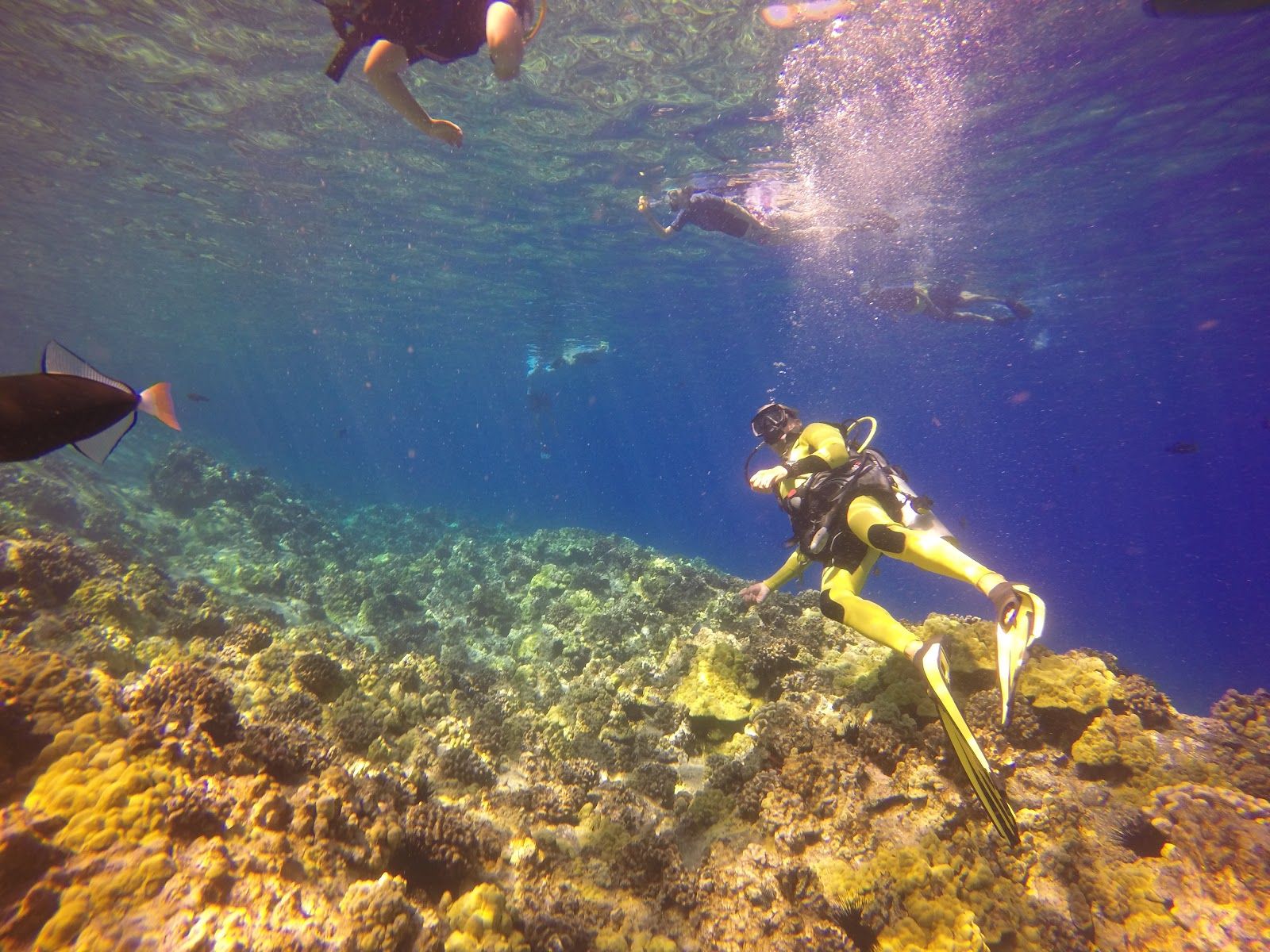 Photo 6 of Molokini Crater in Mākena, Maui