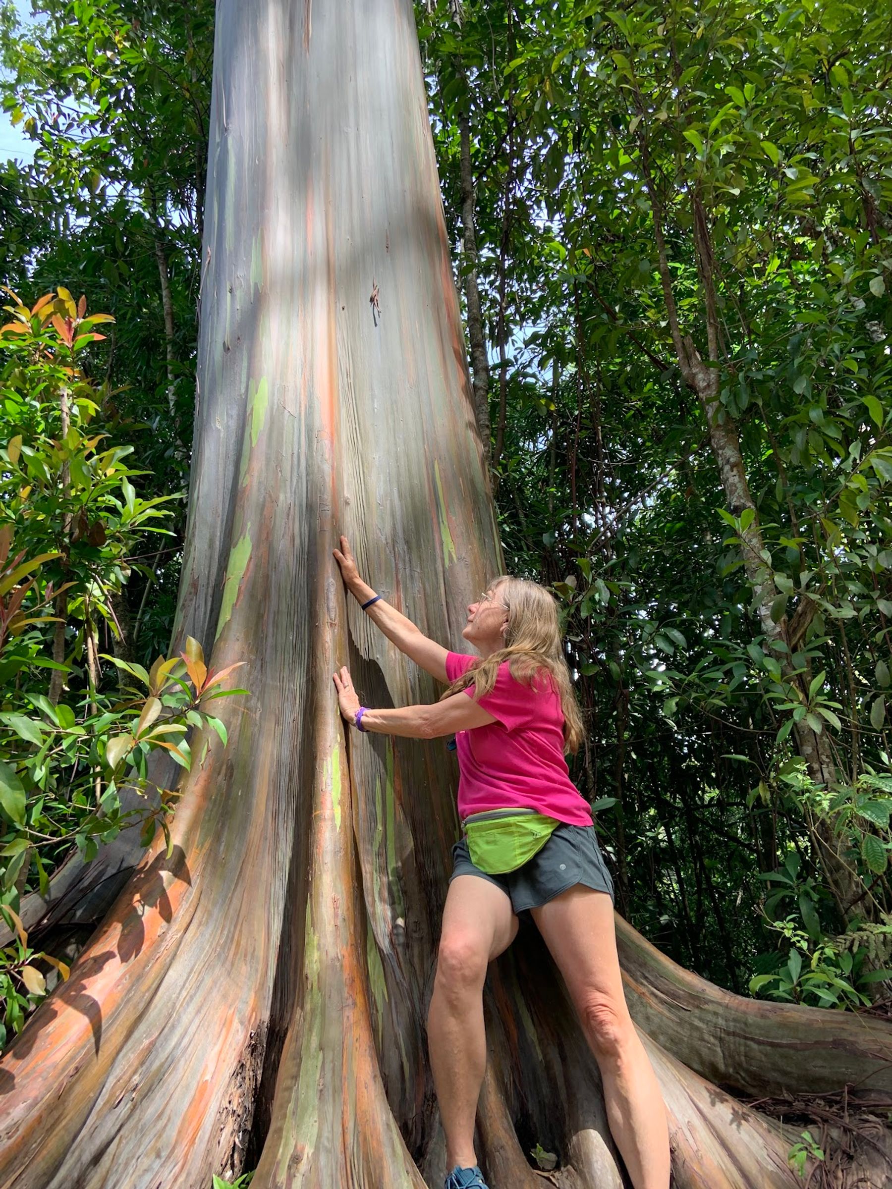 Photo 6 of Epic Maui Hikes in Kīhei, Maui