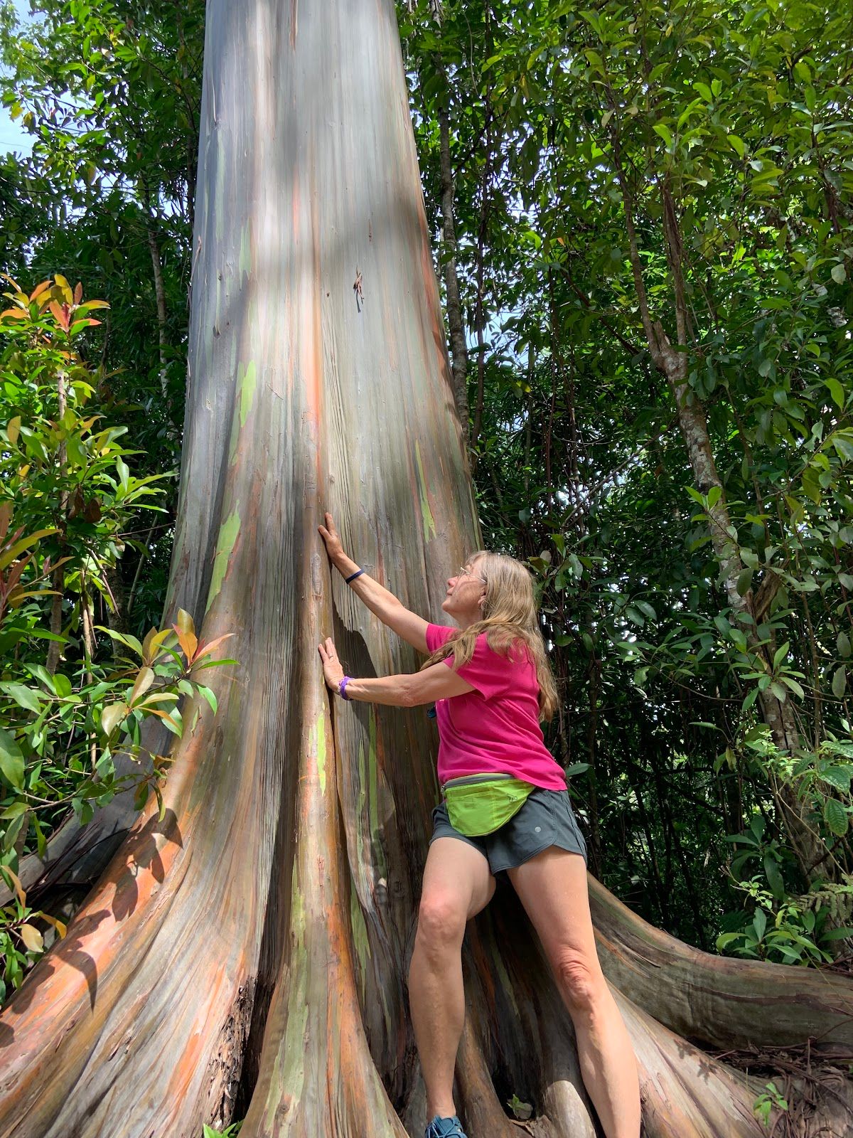 Photo 6 of Epic Maui Hikes in Kīhei, Maui