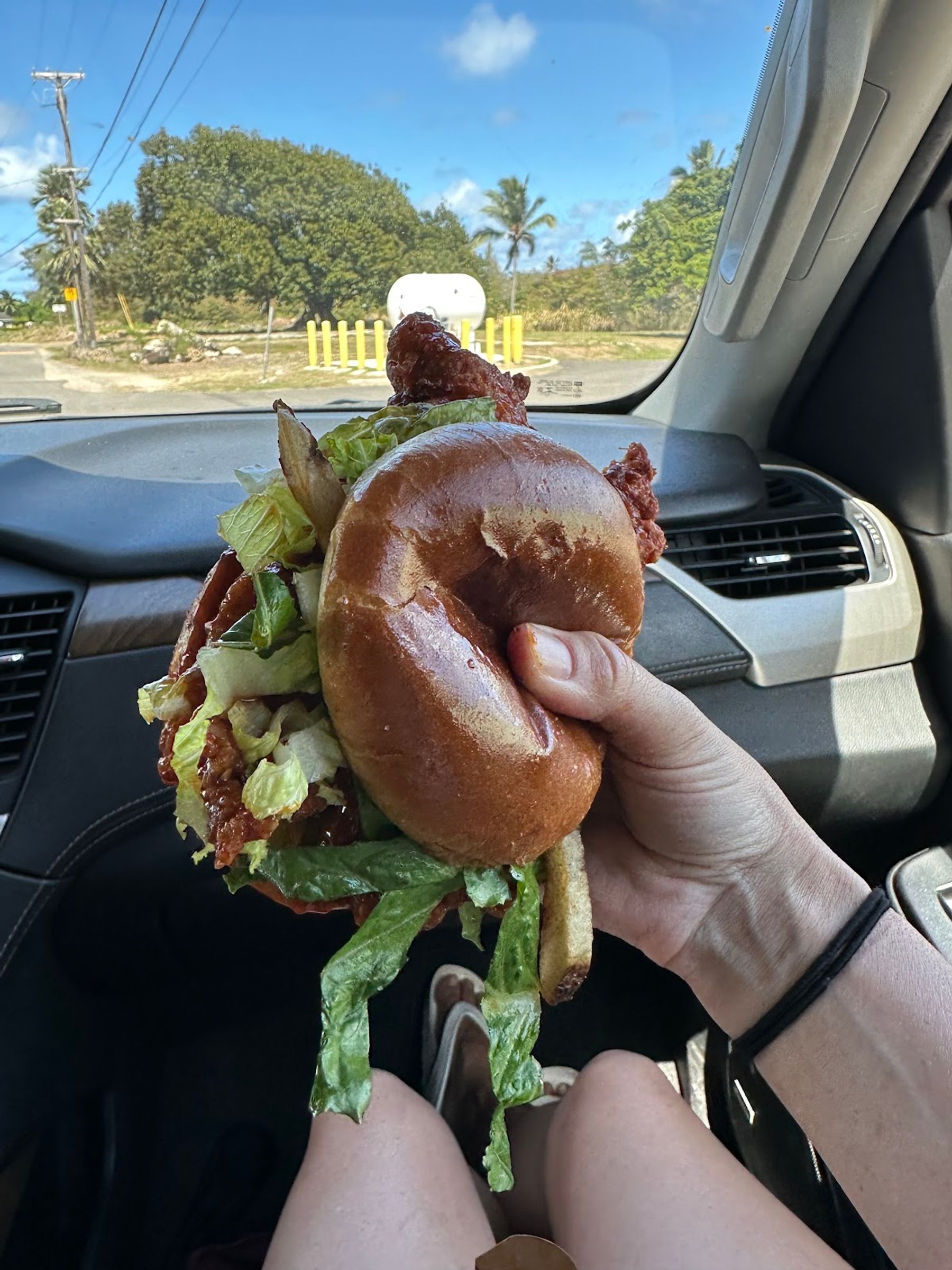 Photo 9 of Eighty Chicken Sandwiches in Kahuku & Turtle Bay, Oahu