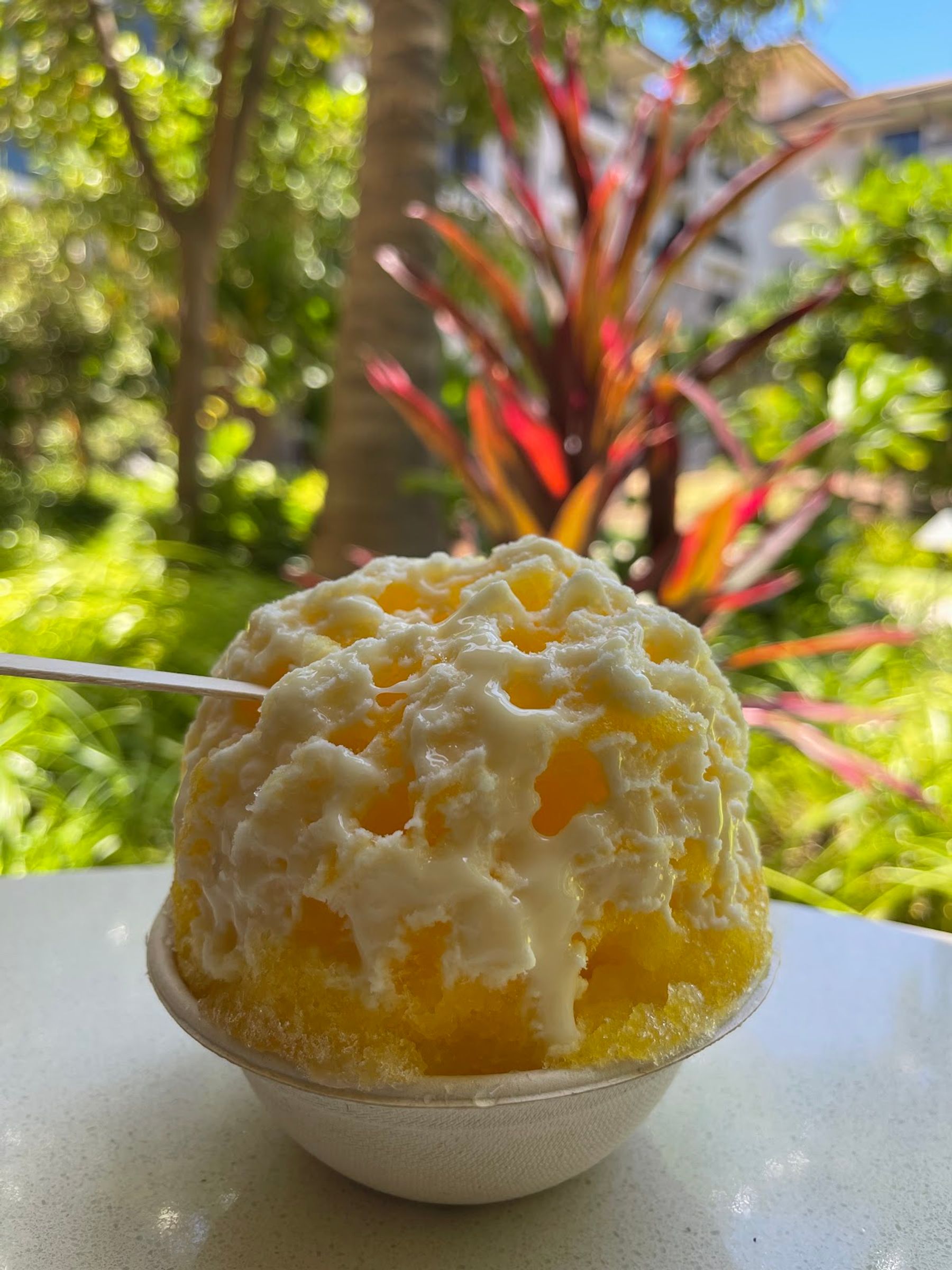 Photo 6 of Big Wave Shave Ice Company - Nanea in Kāʻanapali, Maui