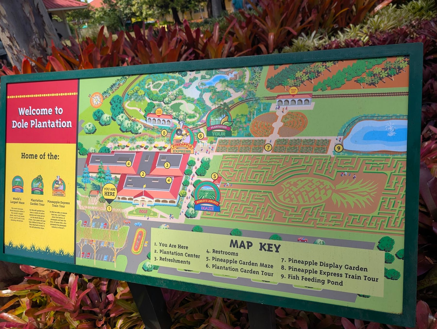 Photo 9 of Dole Plantation in Waialua & Mokulēʻia, Oahu