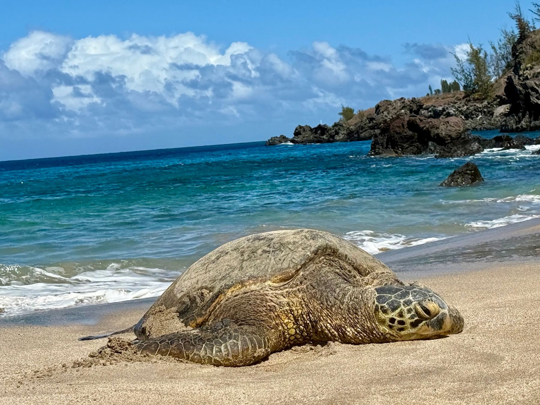 Photo 6 of Slaughterhouse Beach in Kapalua, Maui