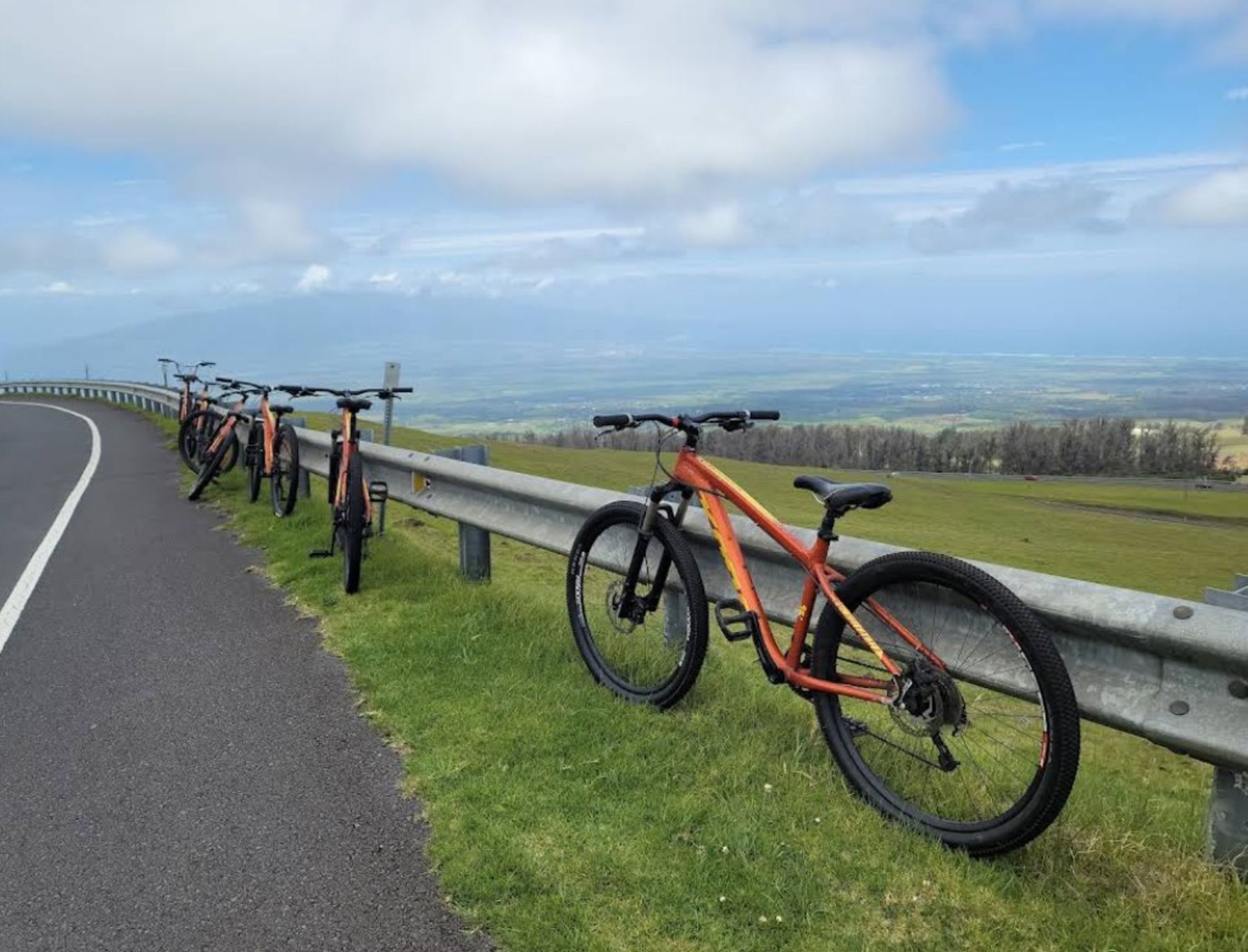 bikes lined up on a guardrail, in the Maui upcountry
