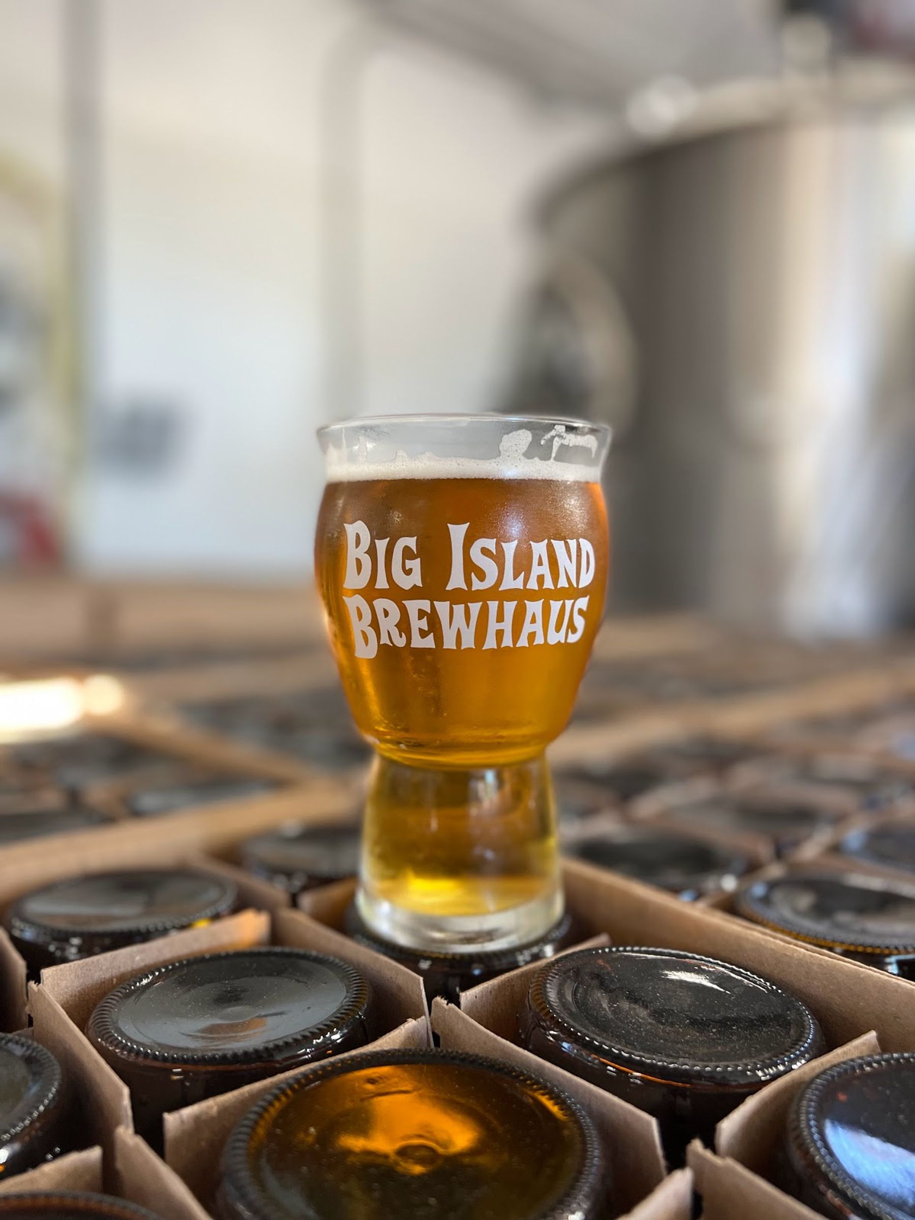 Photo 9 of Big Island Brewhaus in Waimea, Big Island