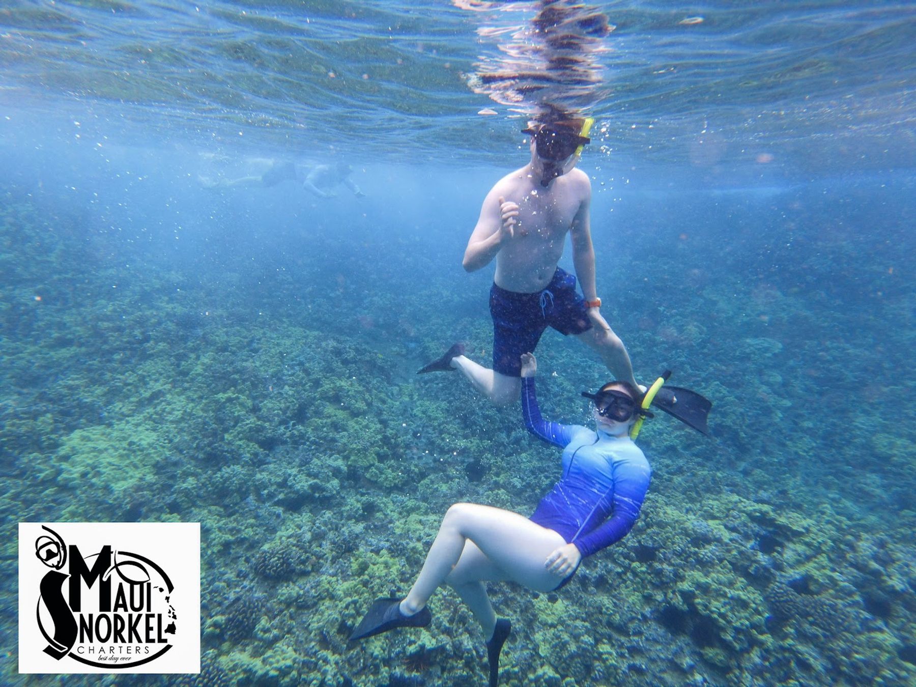 Photo 5 of Maui Snorkel Charters in Wailea, Maui